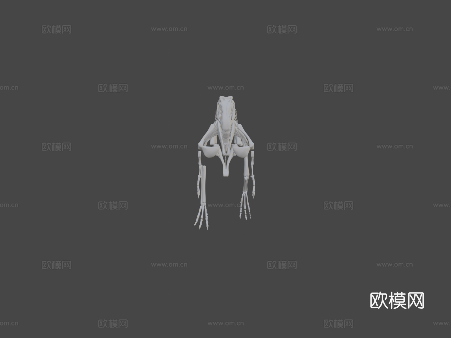 完整异特龙骨架3d模型下载（渲染图8）