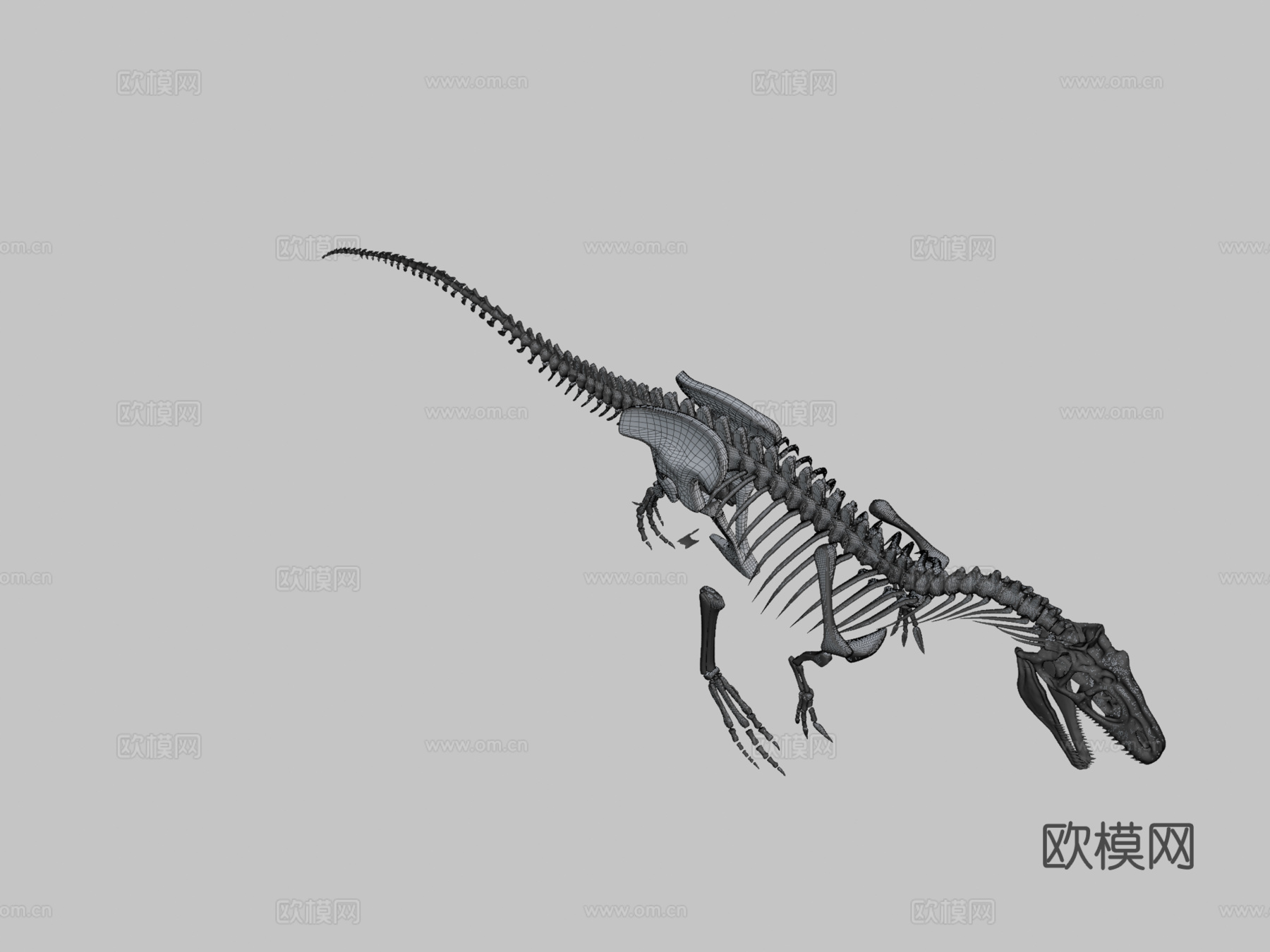 完整异特龙骨架3d模型下载（渲染图2）
