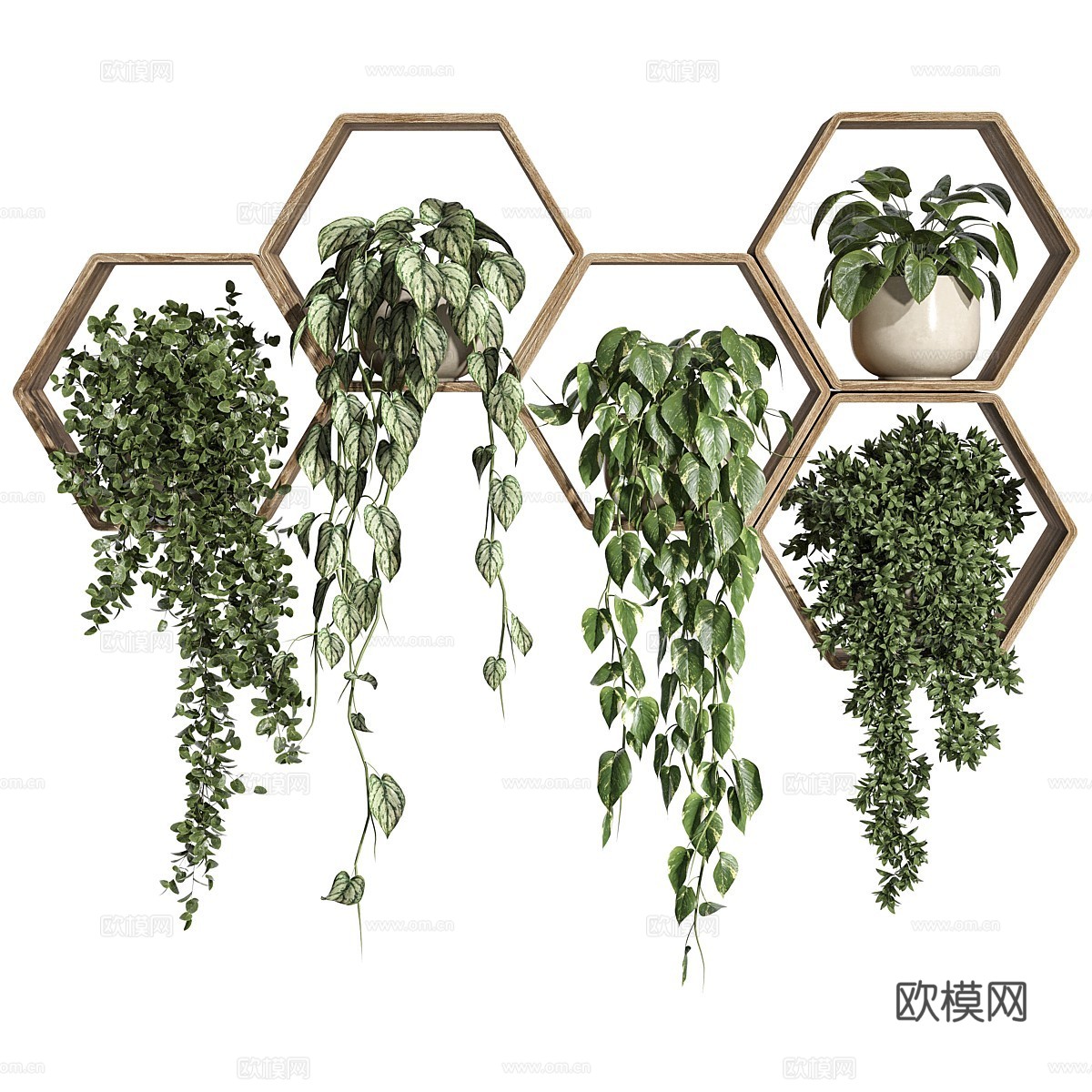 现代吊篮绿植3d模型下载（渲染图1）