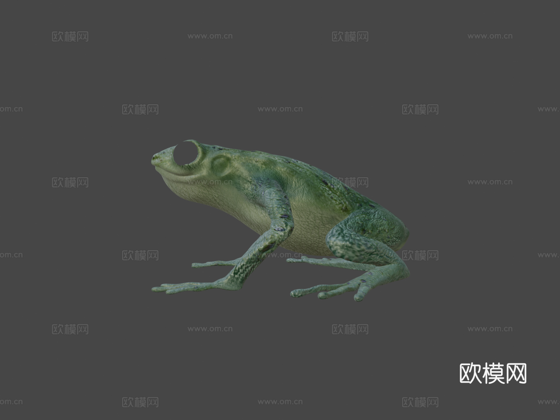 青蛙基础模型3d模型下载（渲染图5）