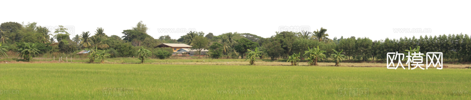 树木背景 别墅北京下载