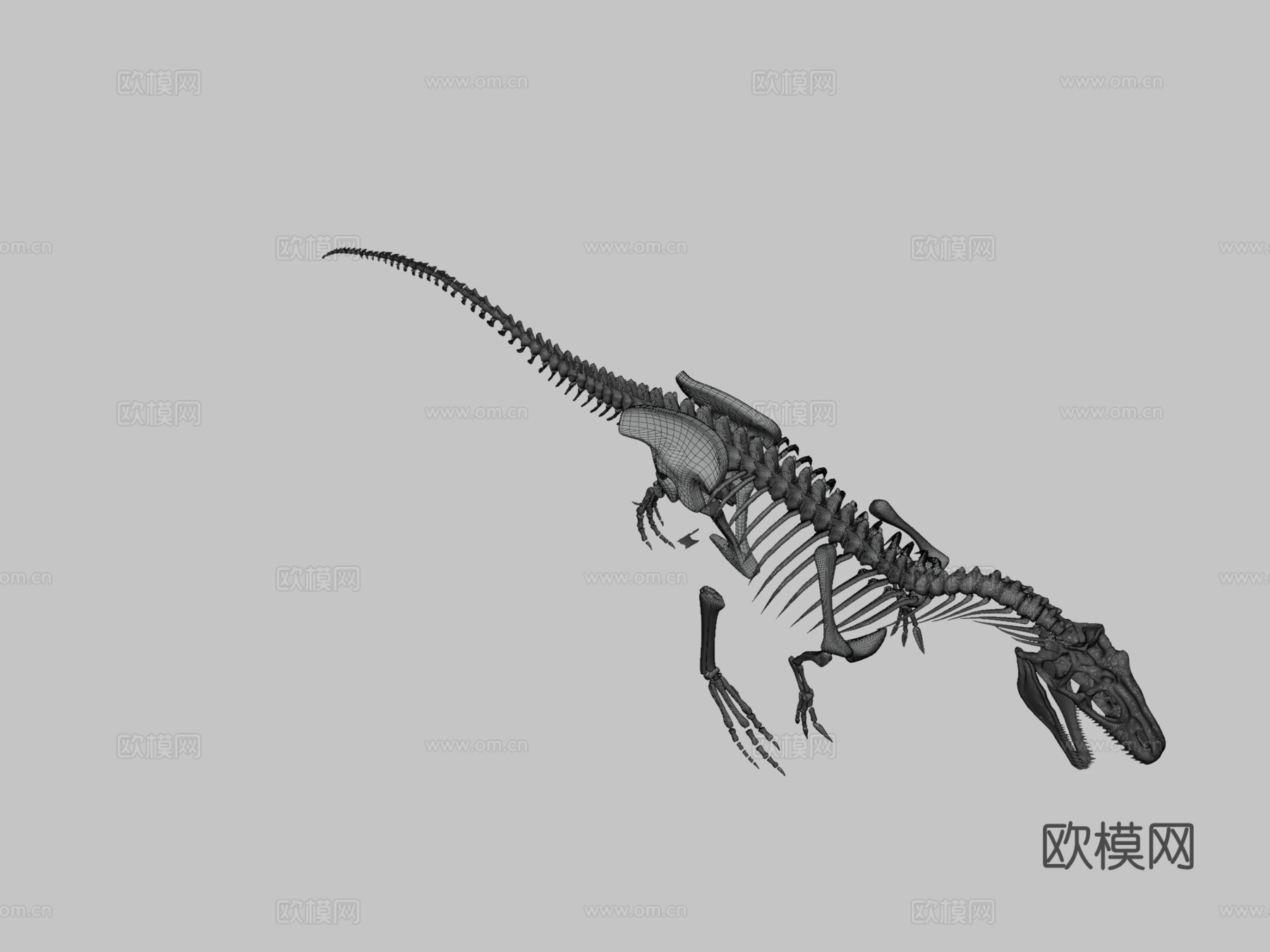 完整异特龙骨架3d模型下载（渲染图3）