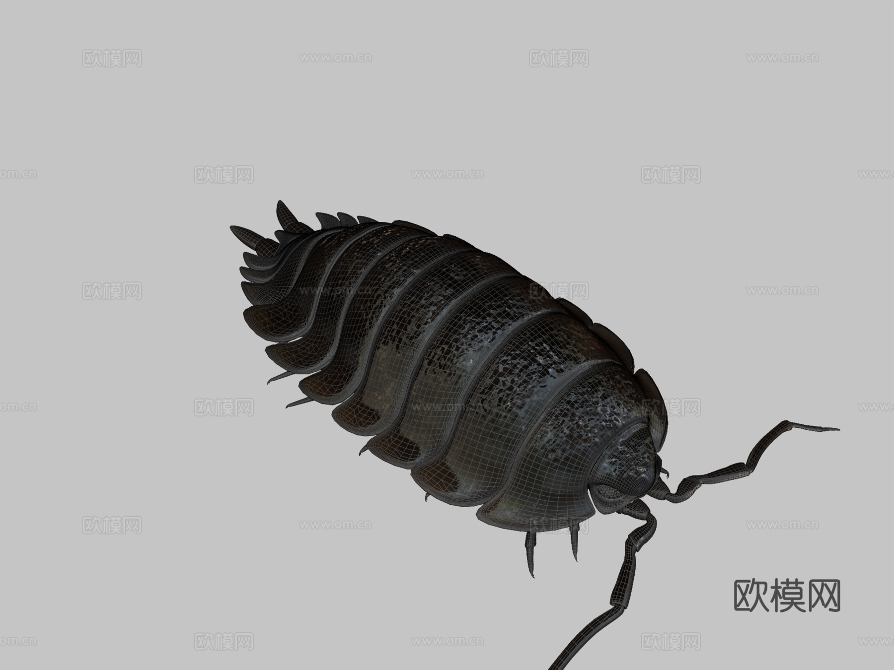 滚圆球3d模型下载（渲染图2）