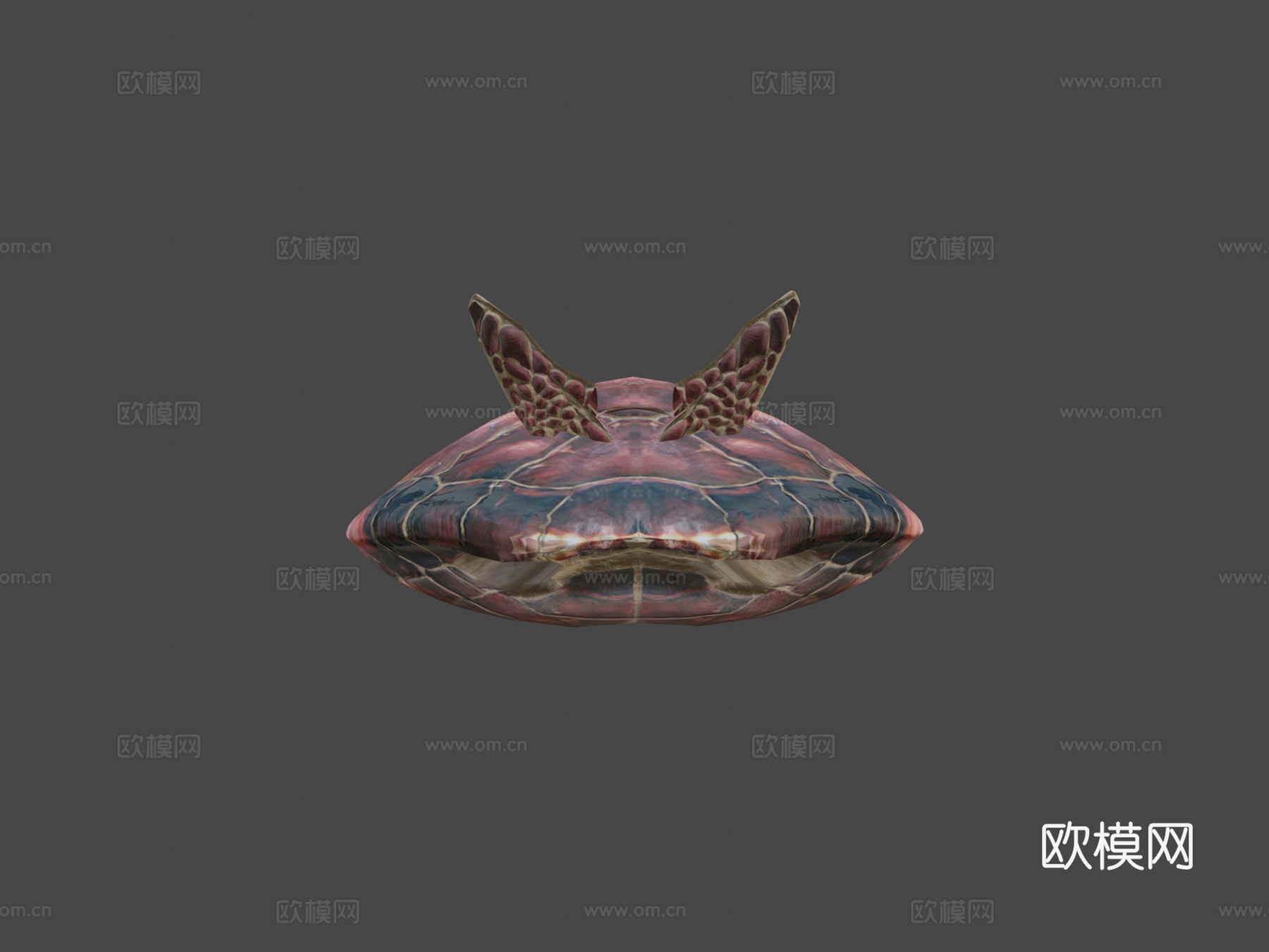 海龟3d模型下载（渲染图5）