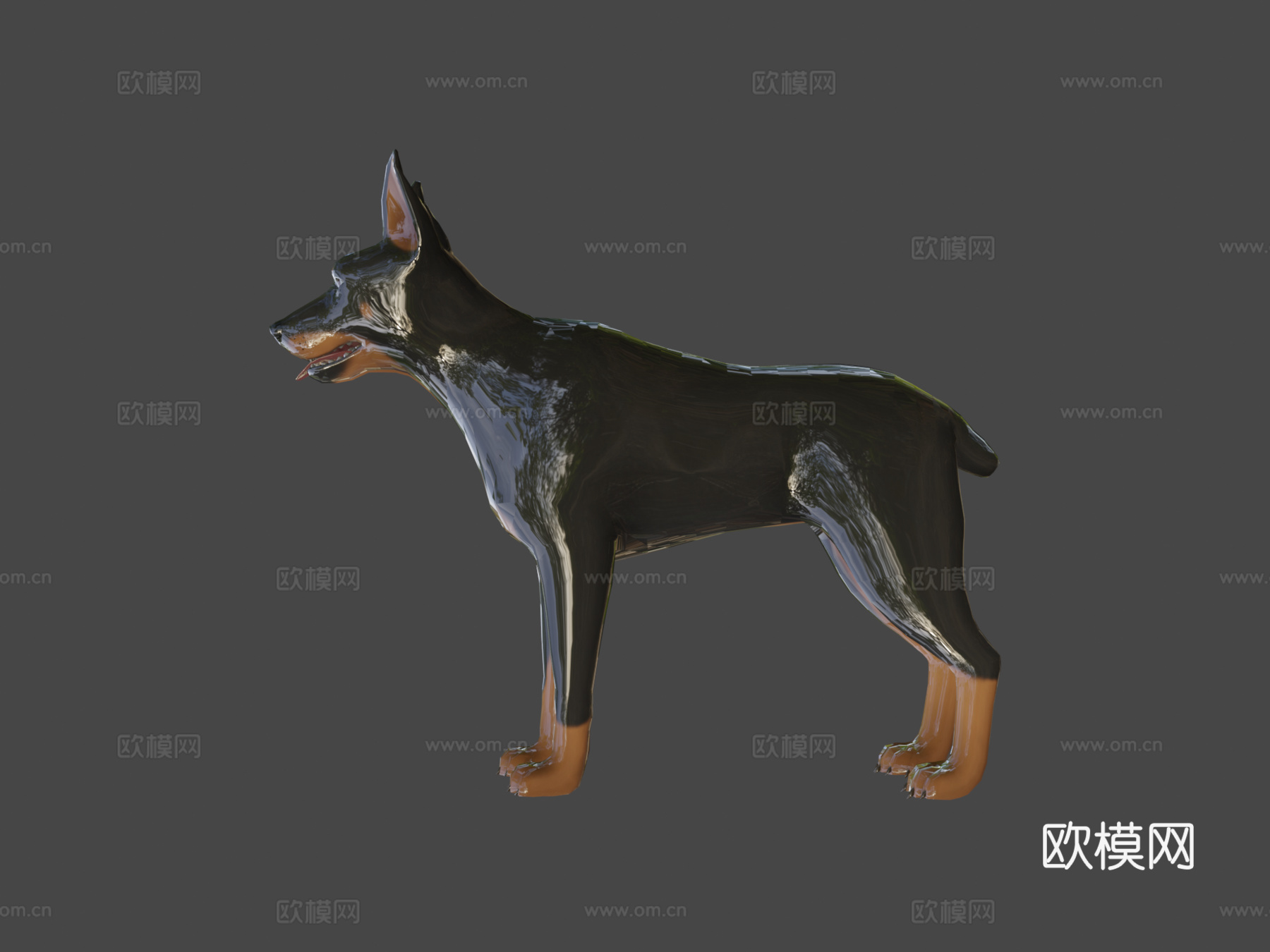 杜宾犬3d模型下载（渲染图6）