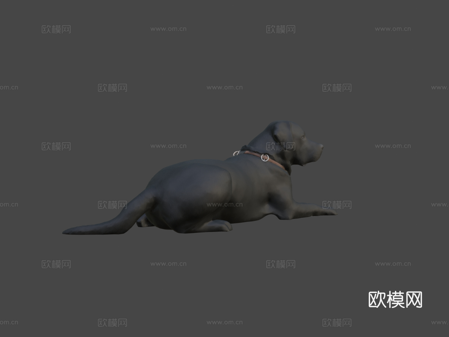 狗狗A-56-拉布拉多3d模型下载（渲染图7）