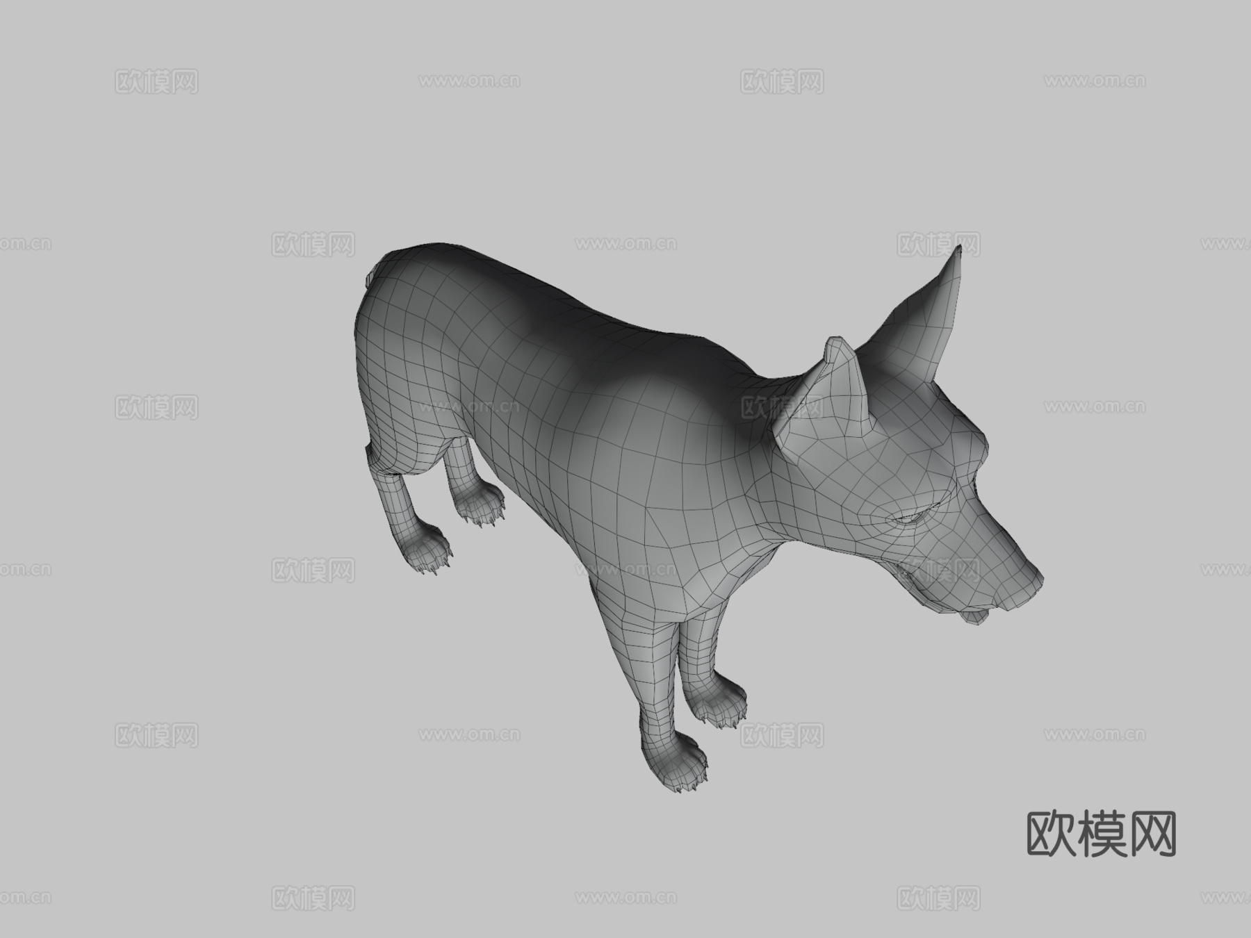 杜宾犬3d模型下载（渲染图3）