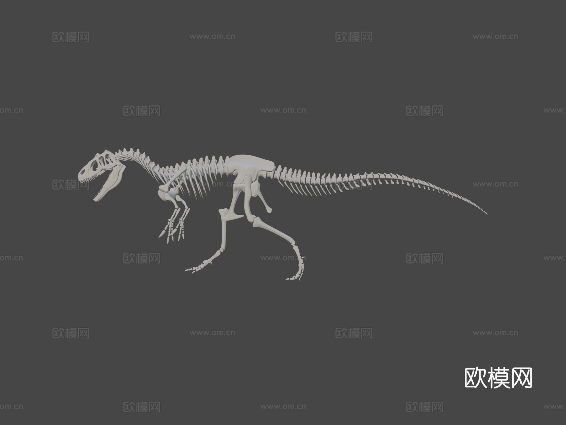 完整异特龙骨架3d模型下载（渲染图7）