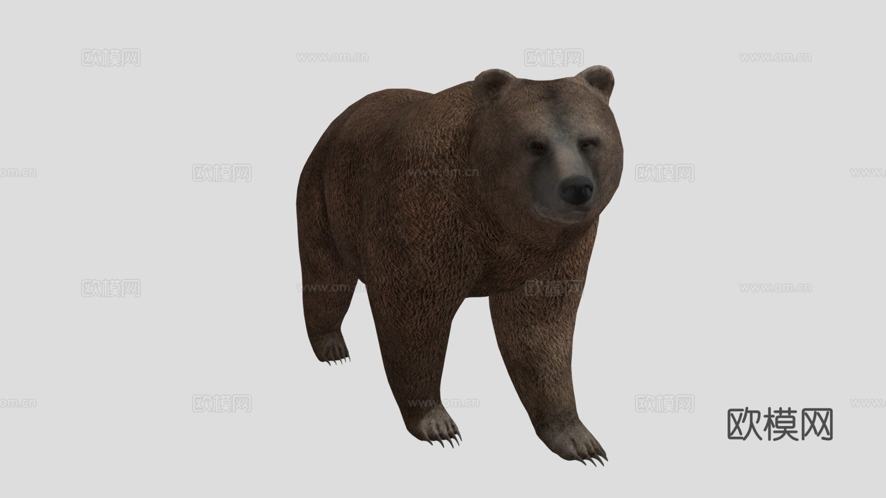 熊3d模型下载（渲染图1）