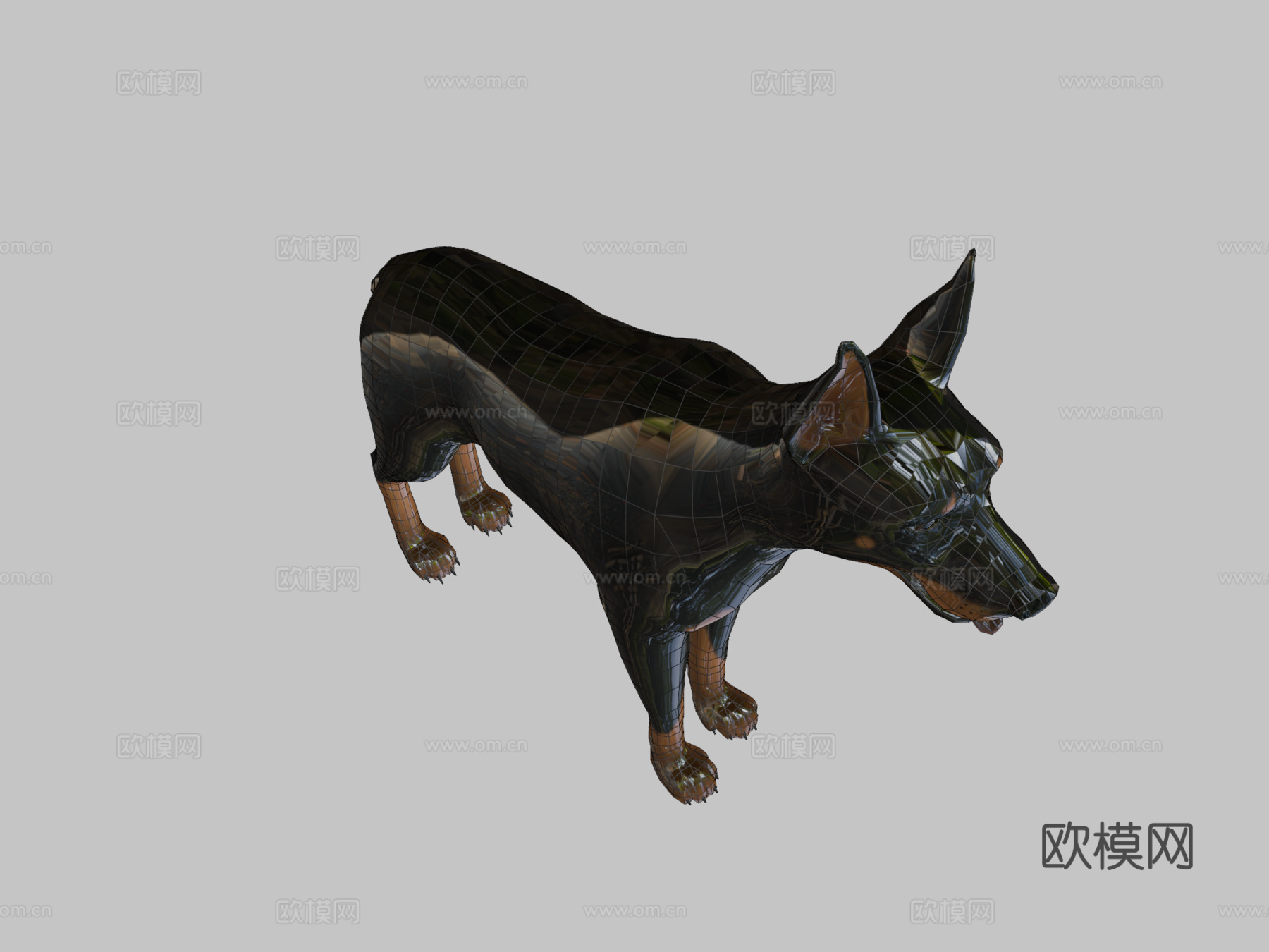 杜宾犬3d模型下载（渲染图2）