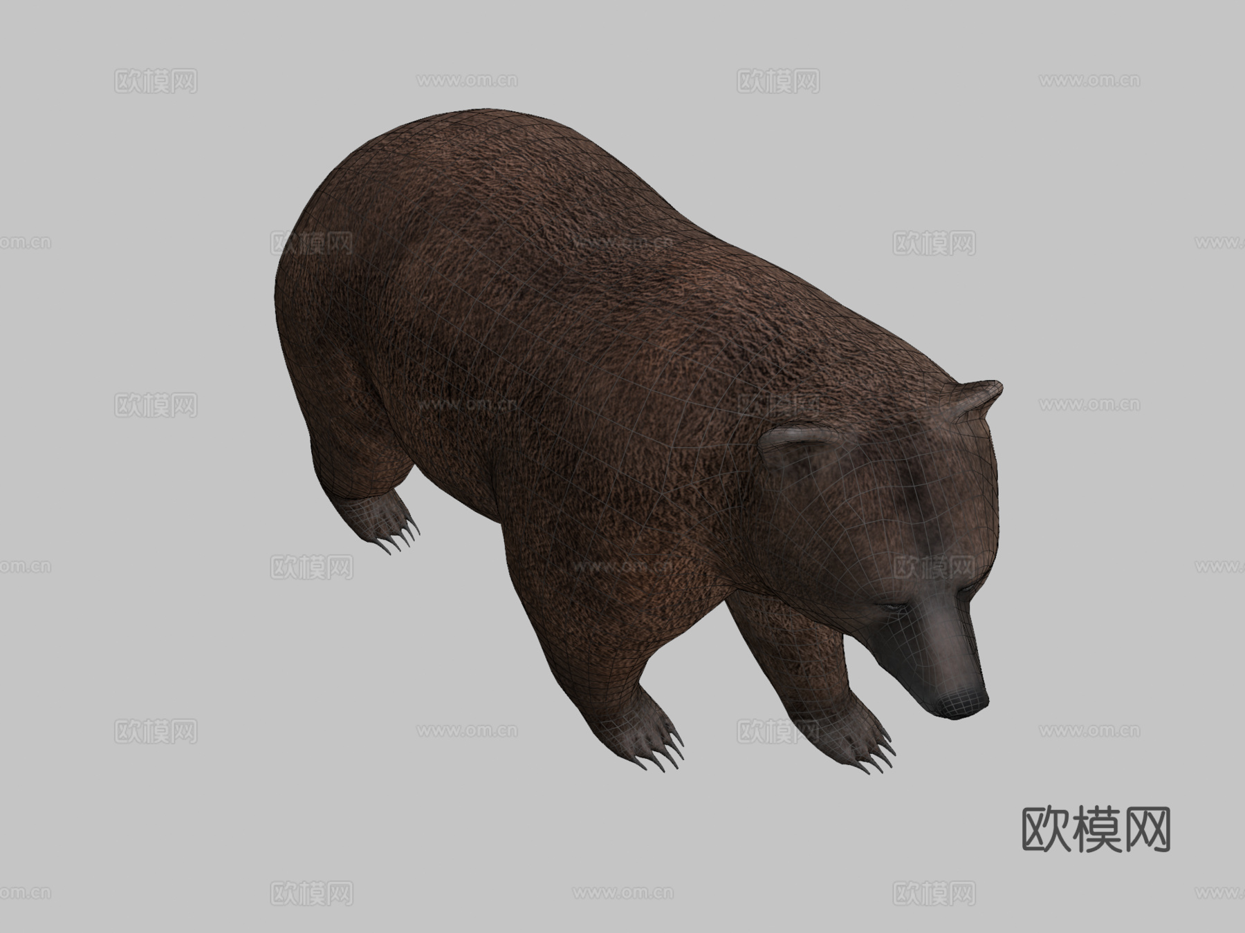 熊3d模型下载（渲染图2）