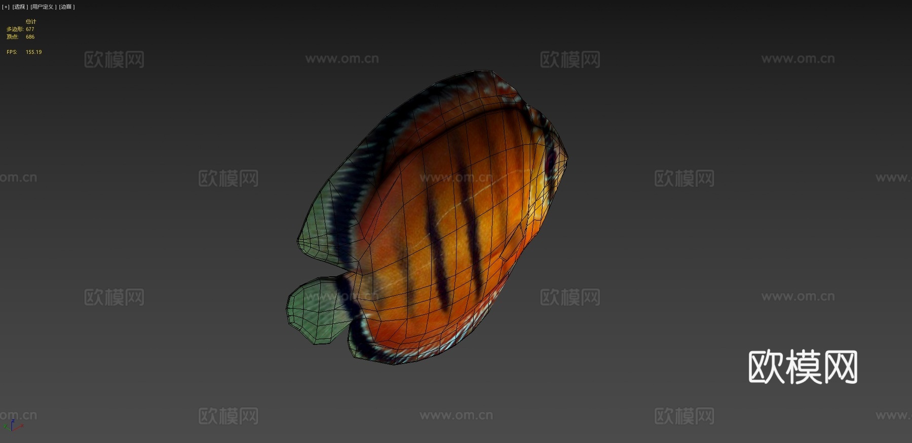 七彩神仙鱼动画3d模型下载（渲染图4）