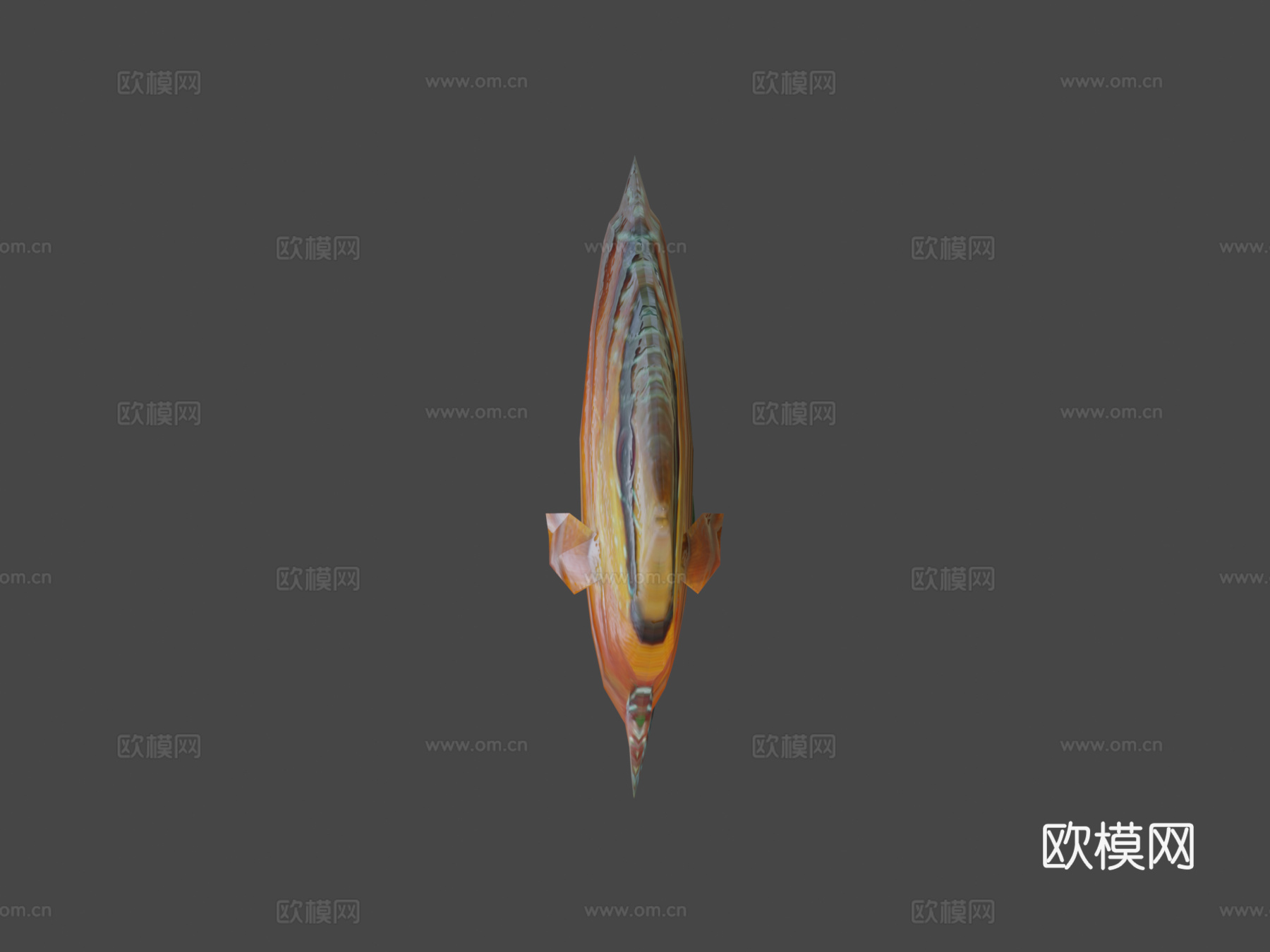 七彩神仙鱼动画3d模型下载（渲染图6）