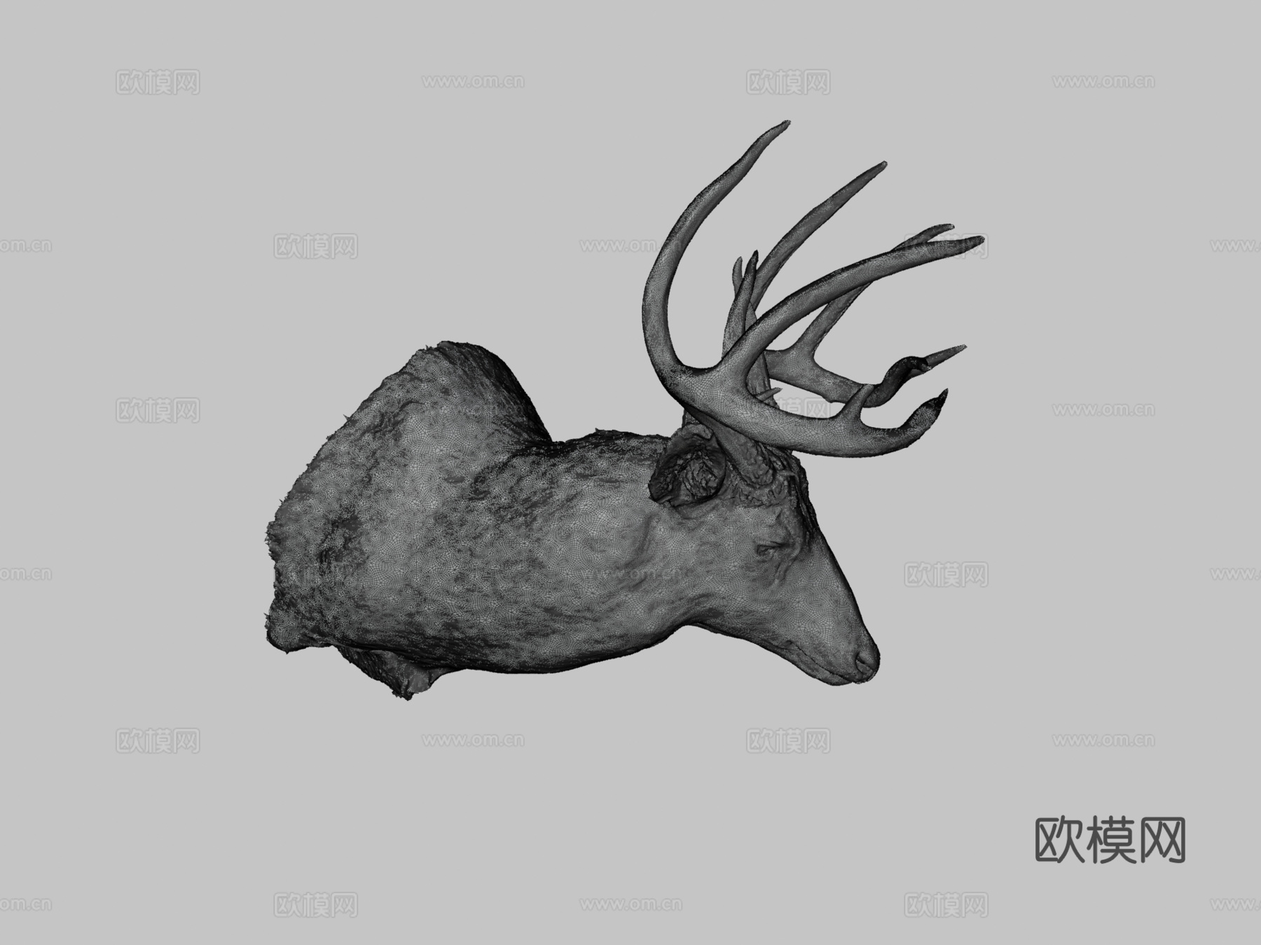 Leonard Dunalp制作的鹿标本3d模型3d模型下载（渲染图3）