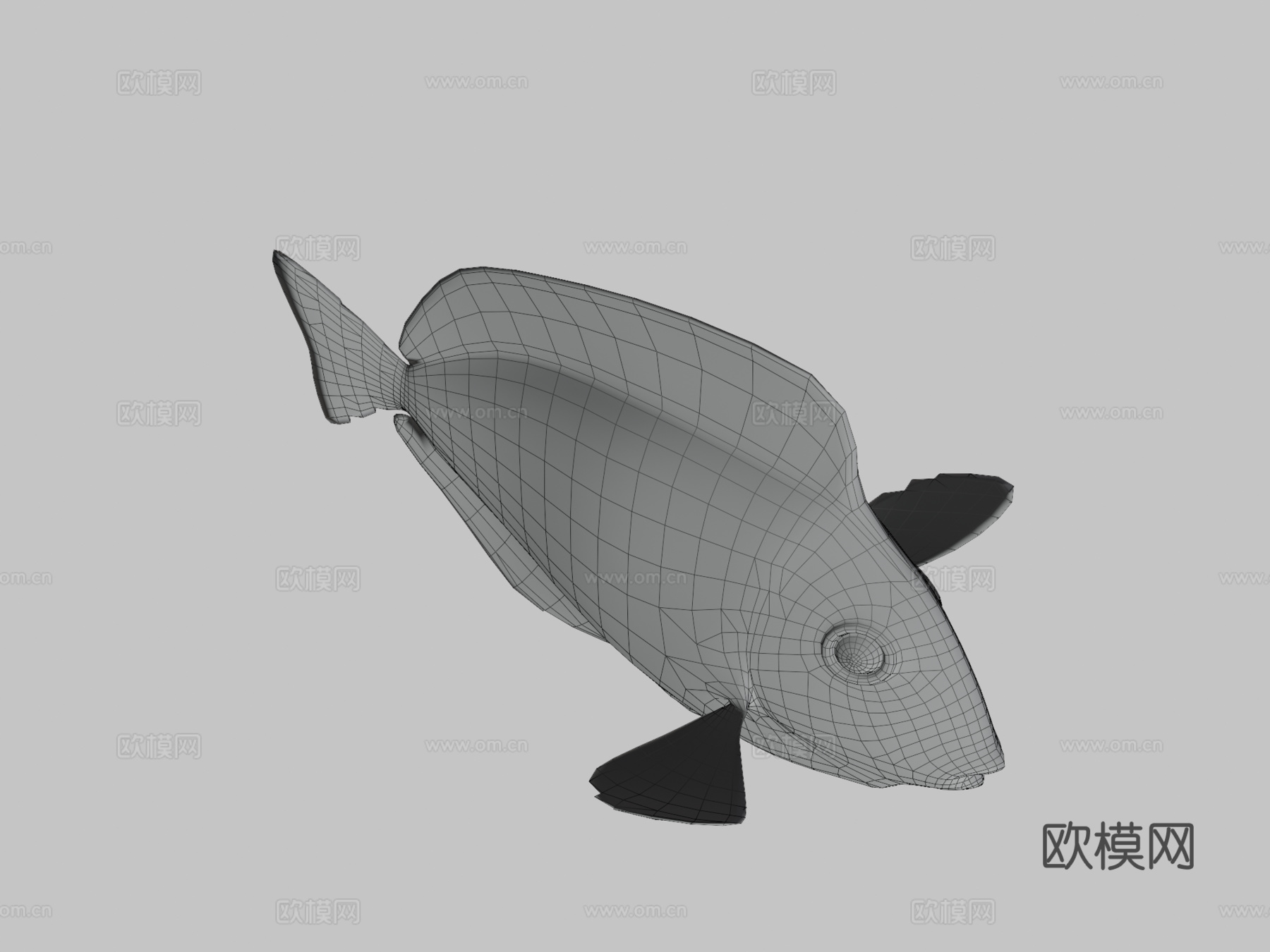 拟刺尾鲷骨骼绑定3d模型下载（渲染图3）