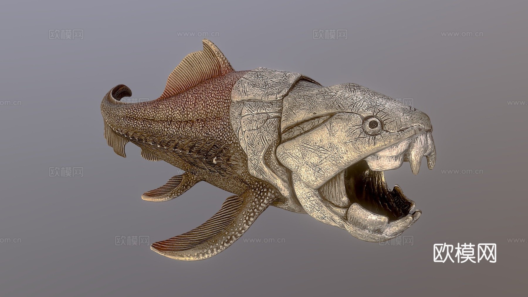邓氏鱼3d模型下载（渲染图1）