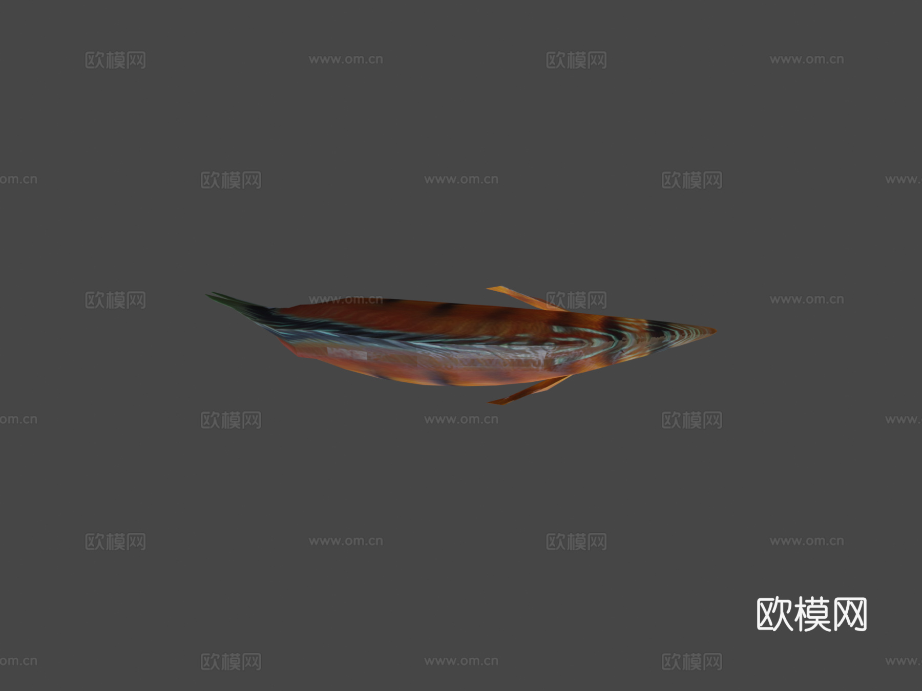 七彩神仙鱼动画3d模型下载（渲染图5）