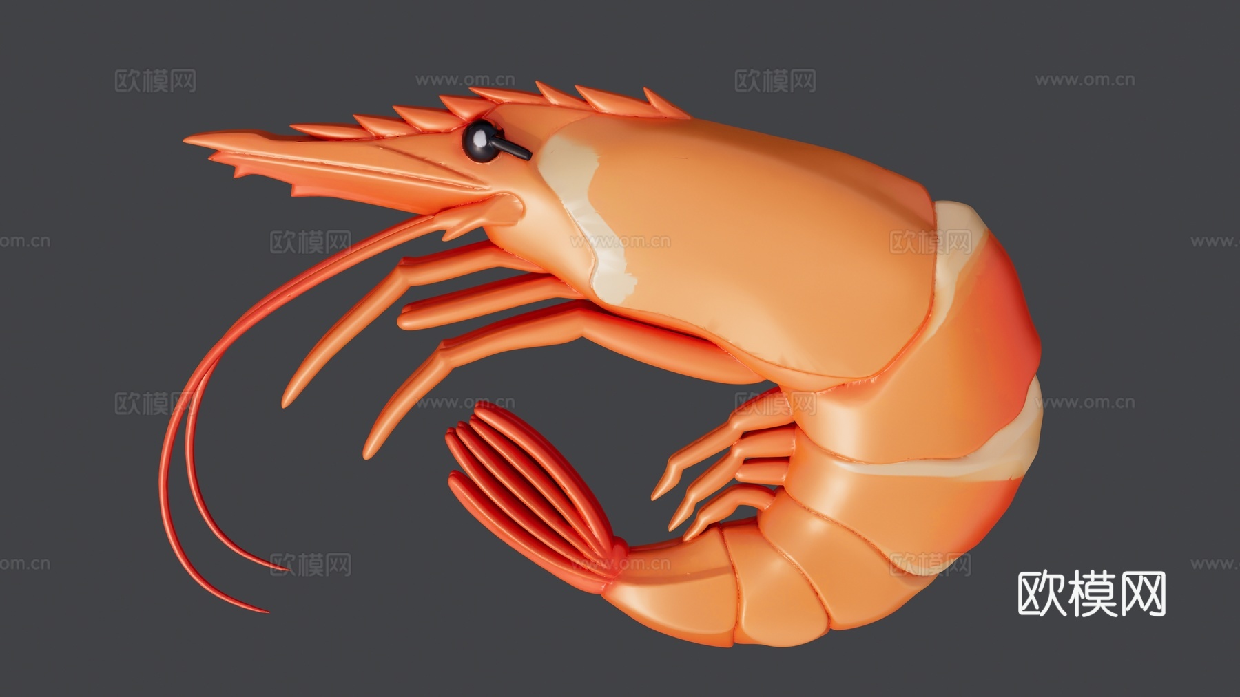 卡通小虾米虾仁su模型