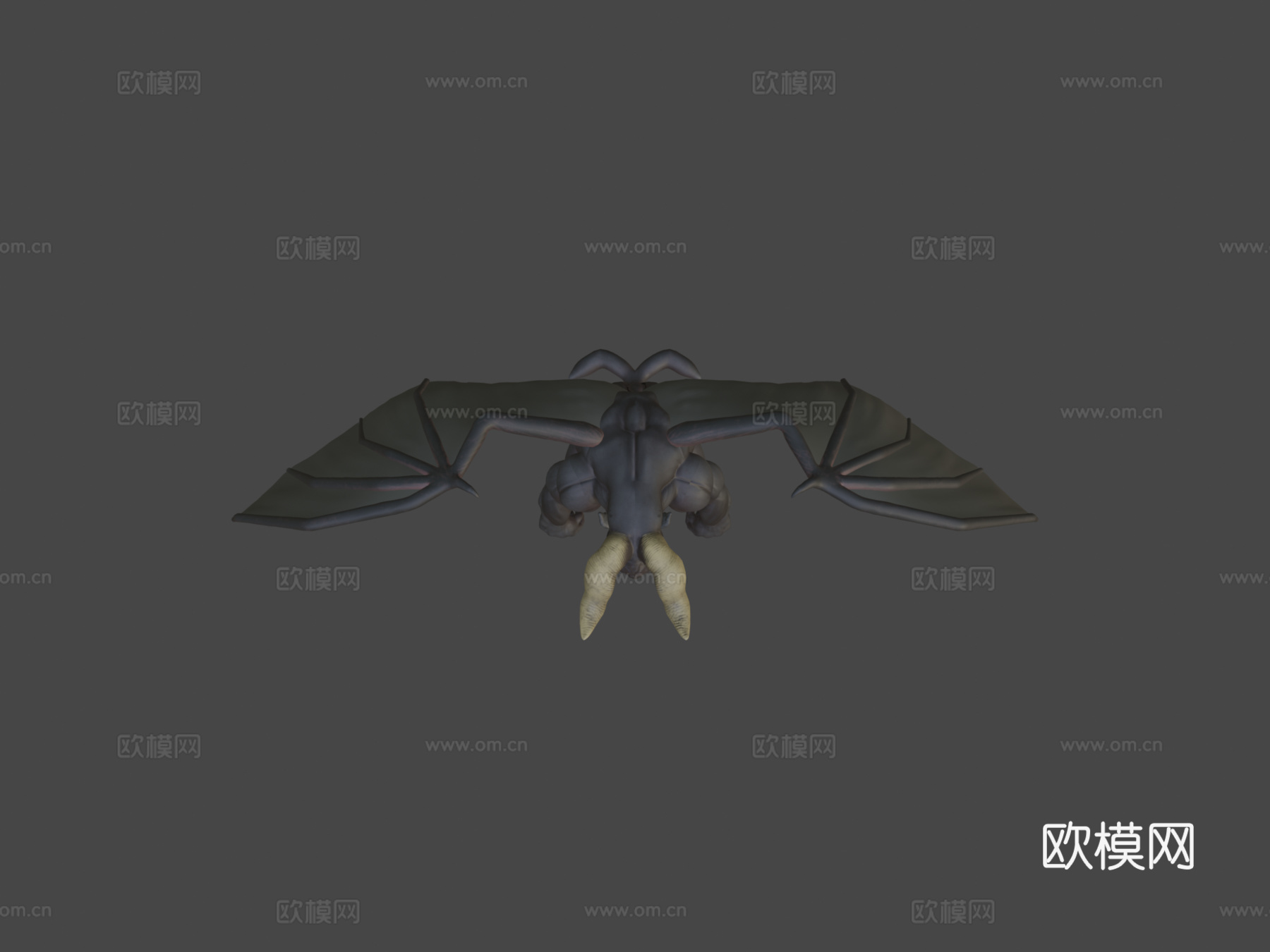 不死者佐德3d模型下载（渲染图6）