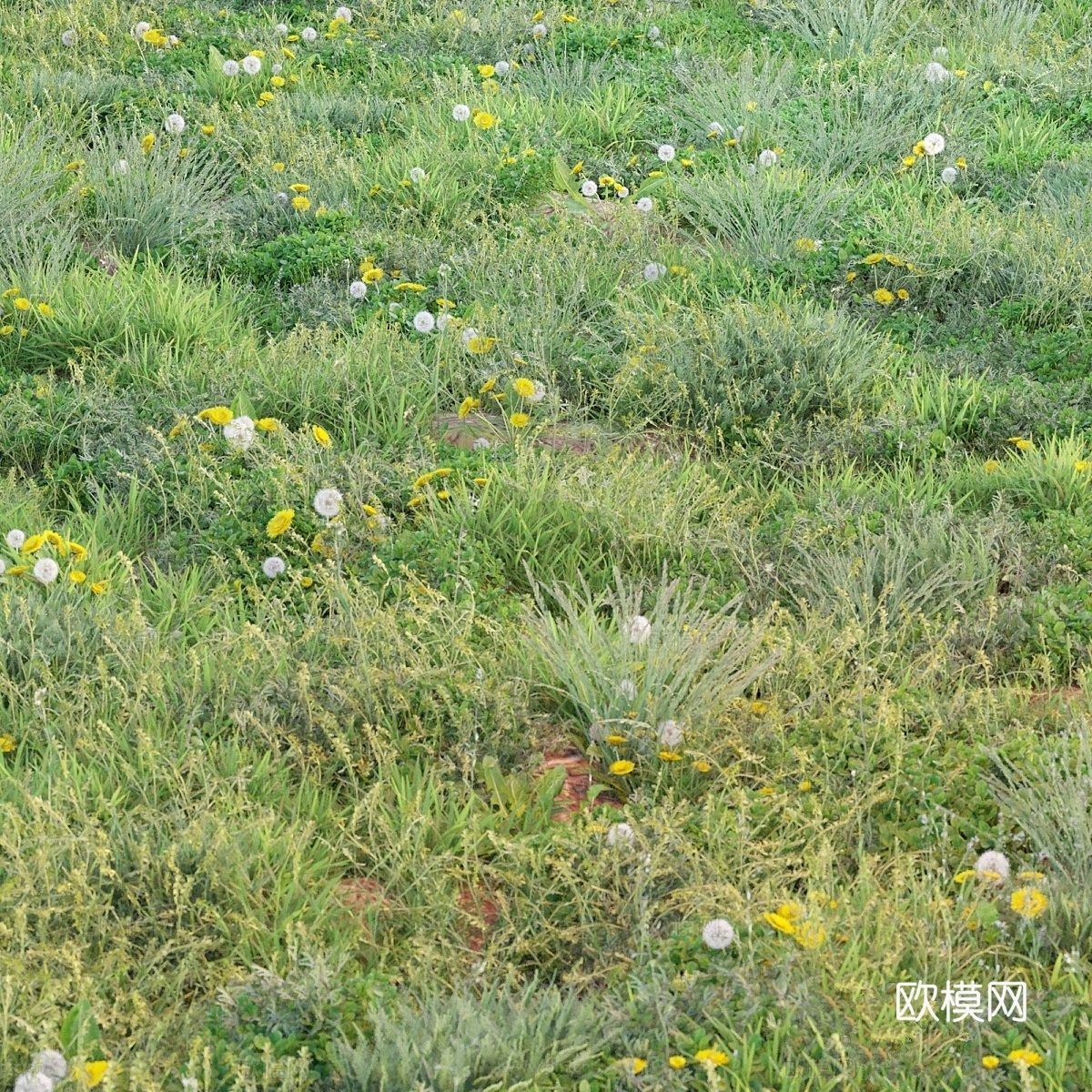 春夏季草地3d模型下载