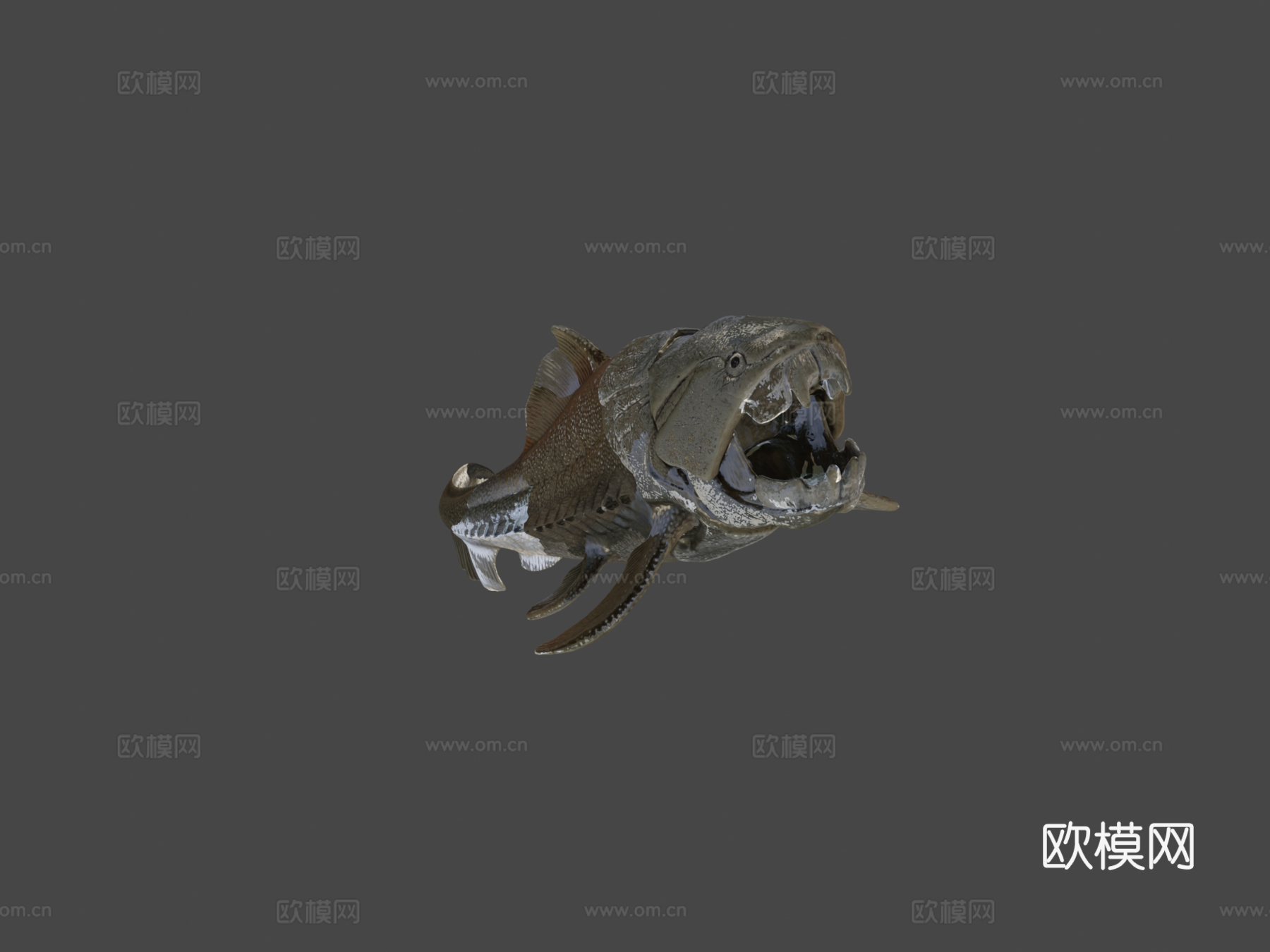 邓氏鱼3d模型下载（渲染图5）