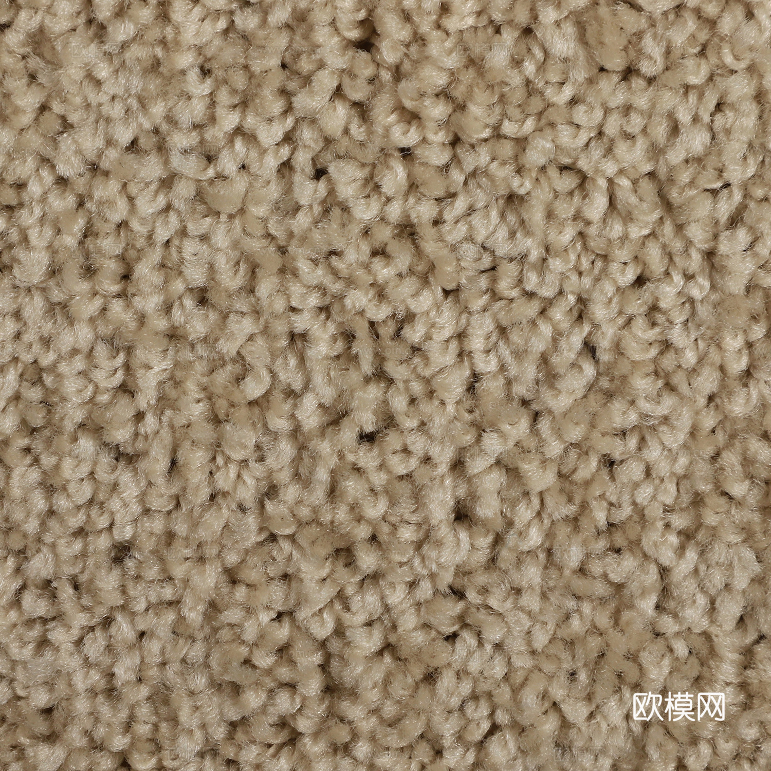 毛料 布料 羊毛卷绒毛 地毯毛料下载