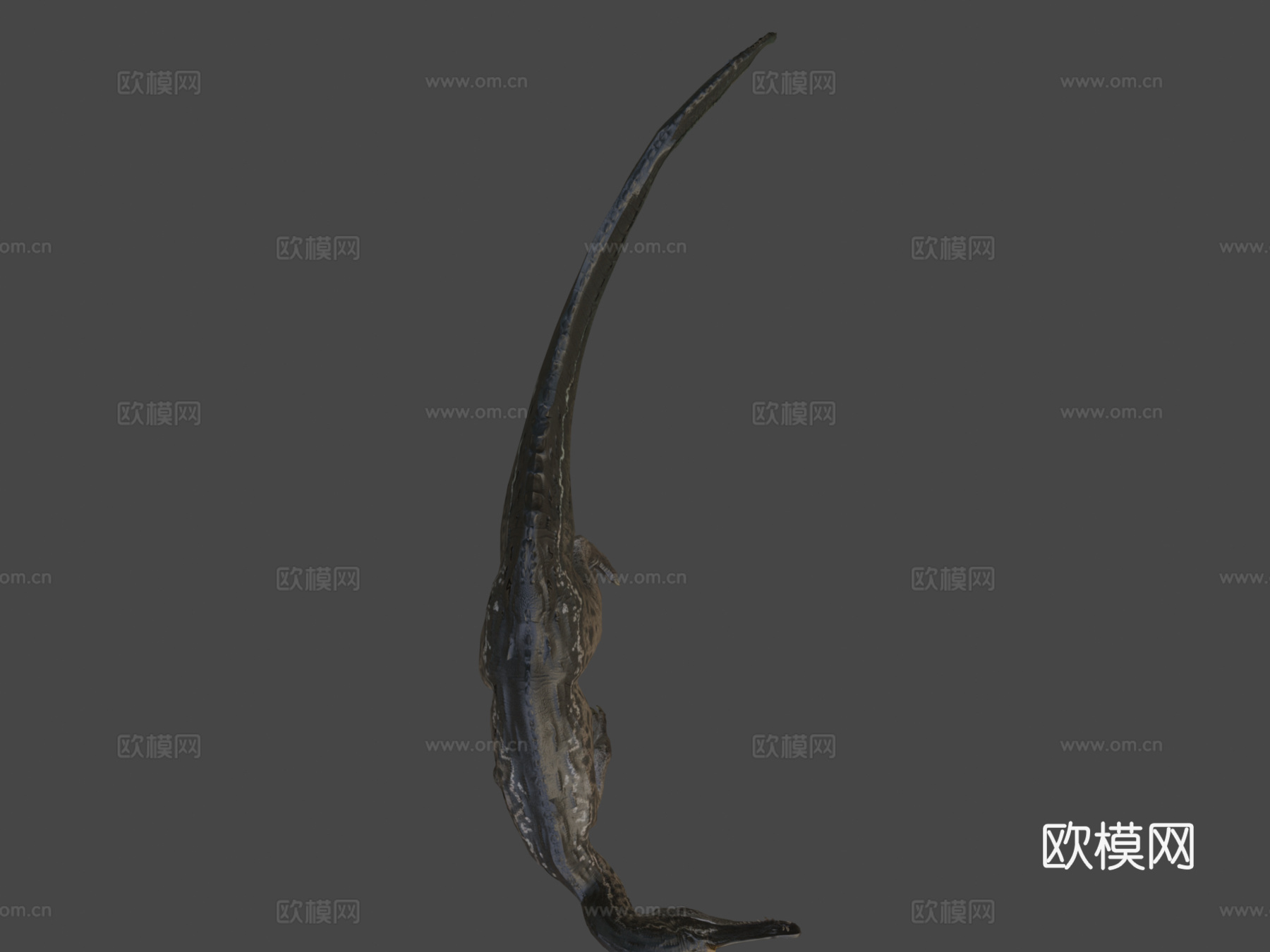 SpinotroniC制作的2022精确版重爪龙3d模型下载（渲染图8）