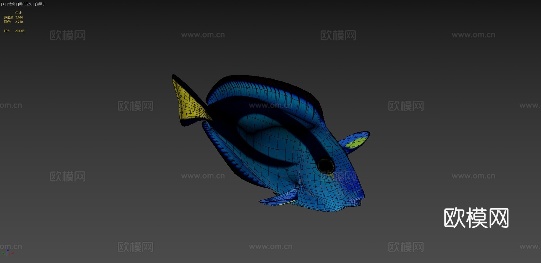 拟刺尾鲷骨骼绑定3d模型下载（渲染图4）