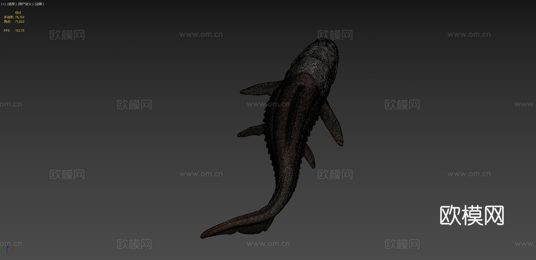 邓氏鱼3d模型下载（渲染图4）