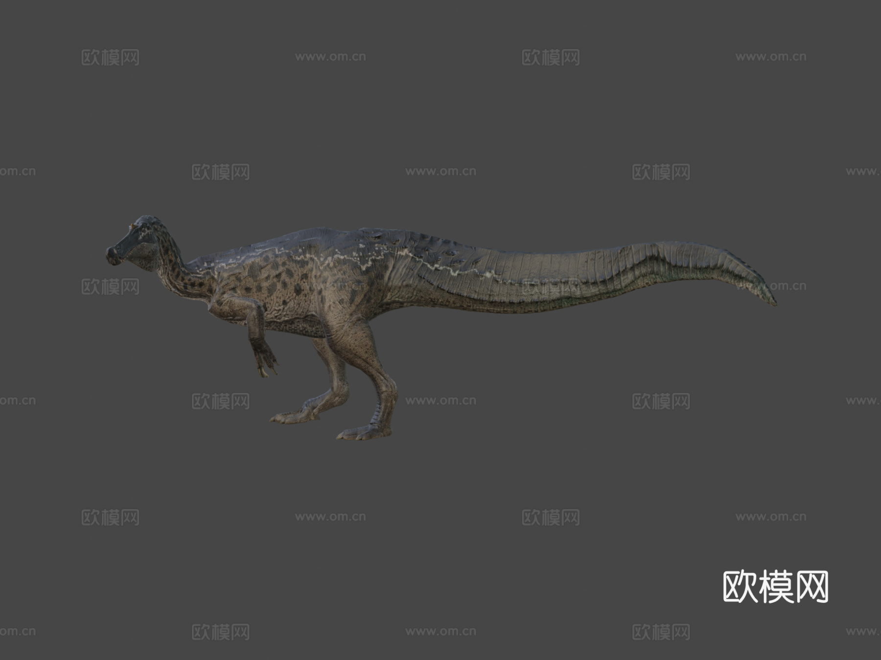 SpinotroniC制作的2022精确版重爪龙3d模型下载（渲染图6）