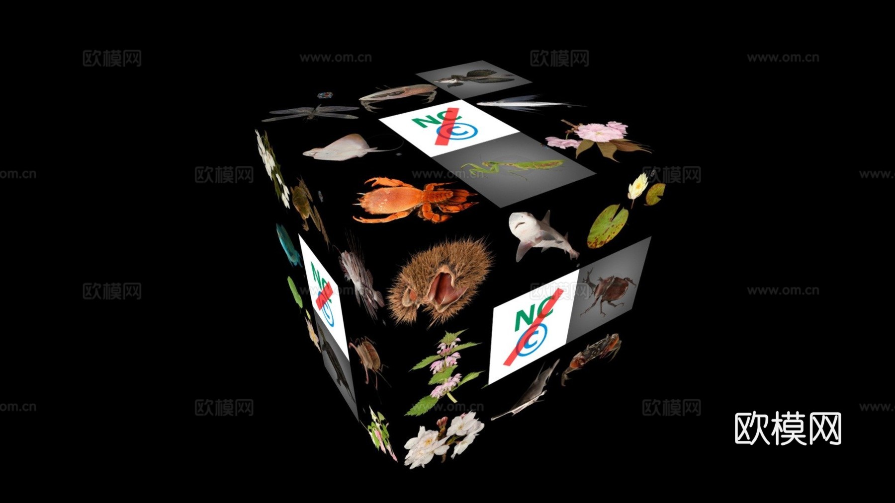 超出默认许可的3D模型使用3d模型下载（渲染图1）