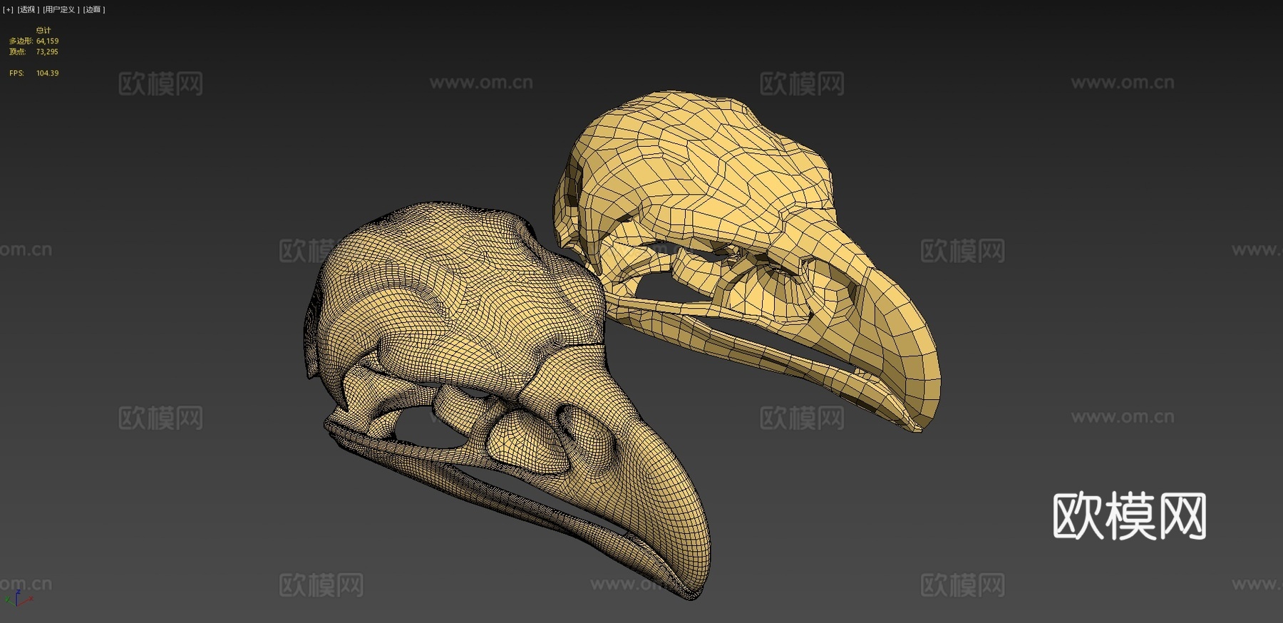鹰头骨3d模型下载（渲染图4）