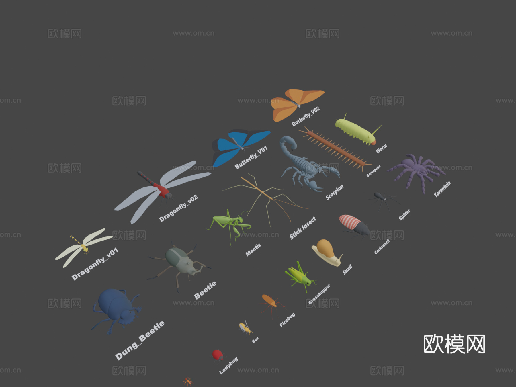动物包-昆虫3d模型下载（渲染图8）