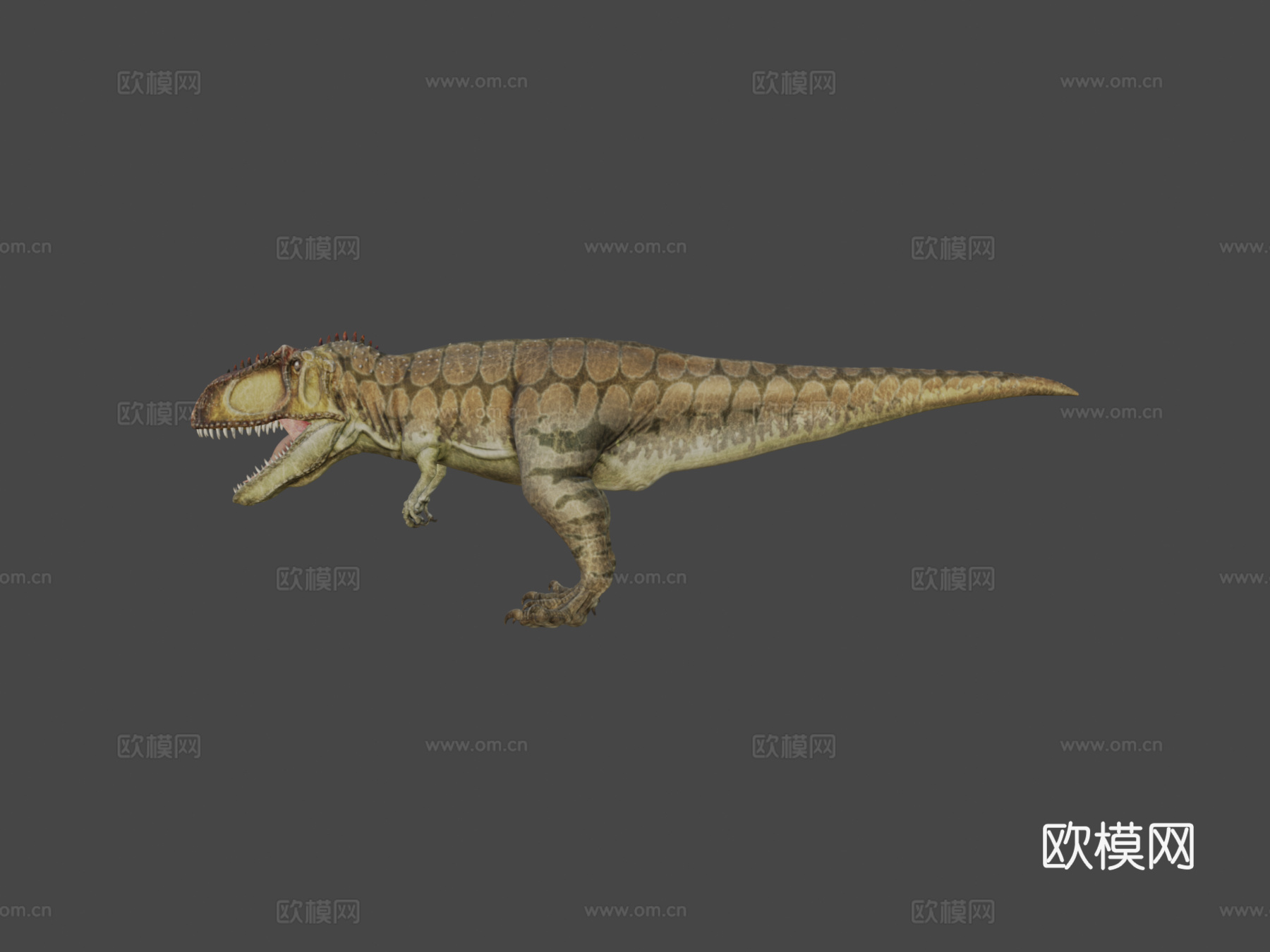 南方巨兽龙3d模型下载（渲染图8）