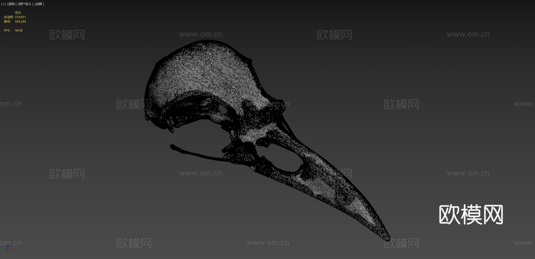 IMNH R-1349普通渡鸦头骨3d模型下载（渲染图4）