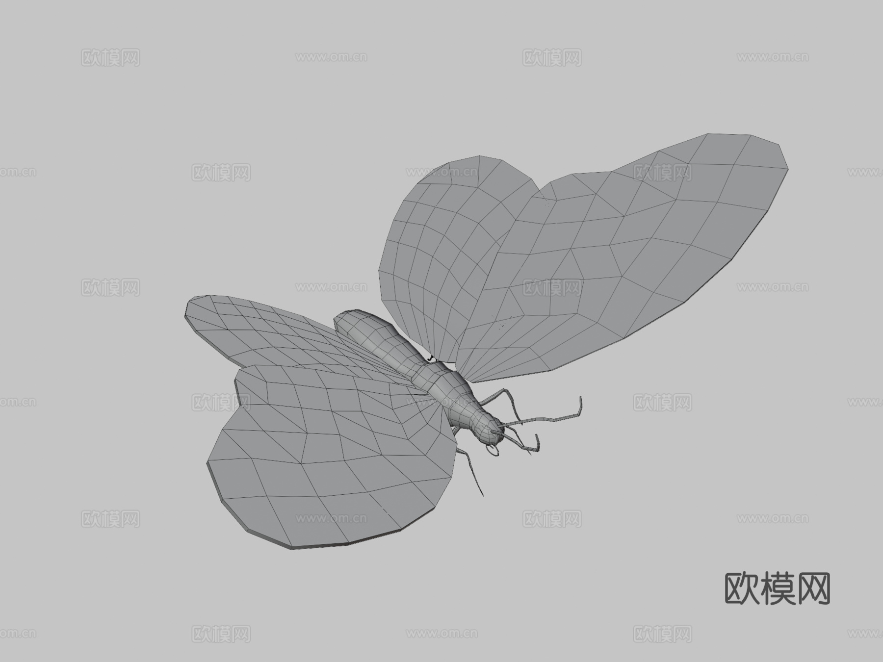 蝴蝶3d模型下载（渲染图3）