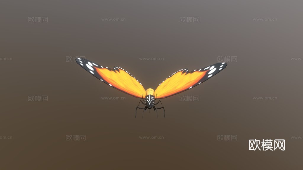 蝴蝶3d模型下载（渲染图1）