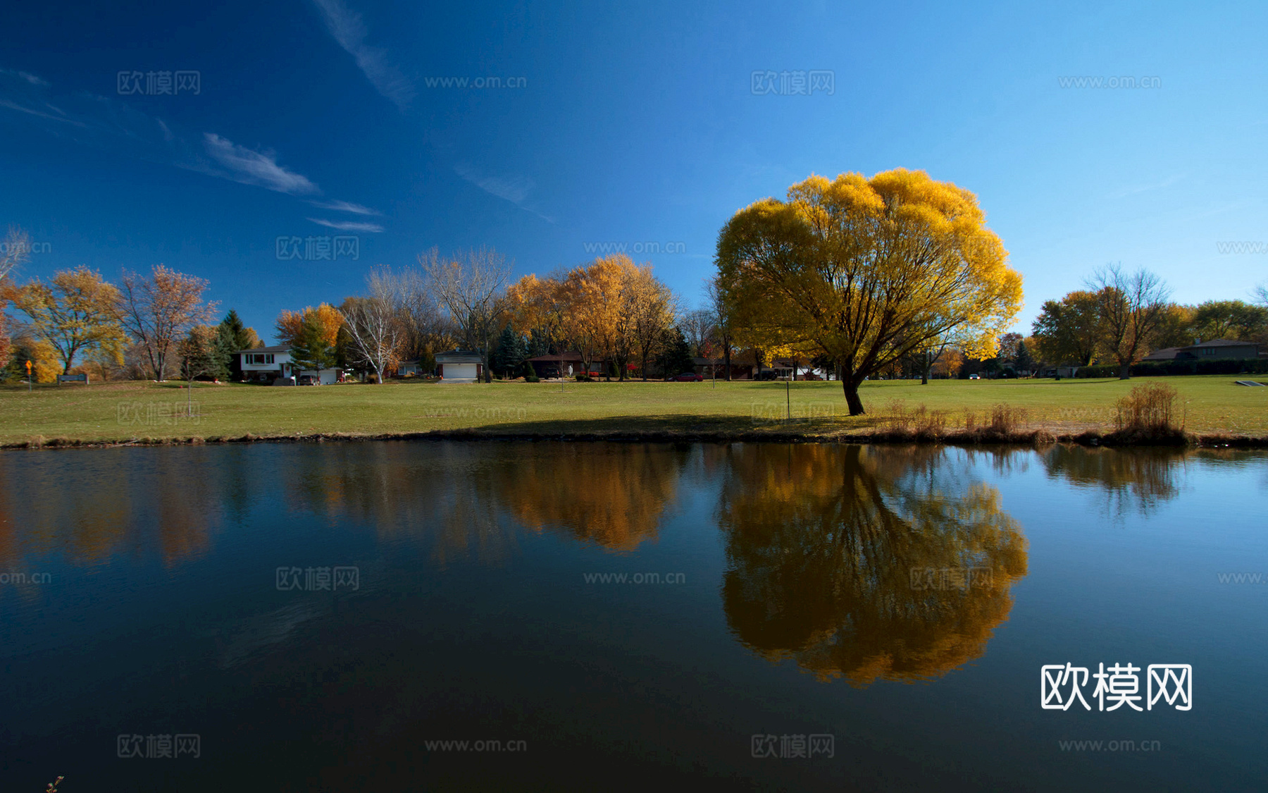 小区外景 环境 城市 都市外景 自然风景下载
