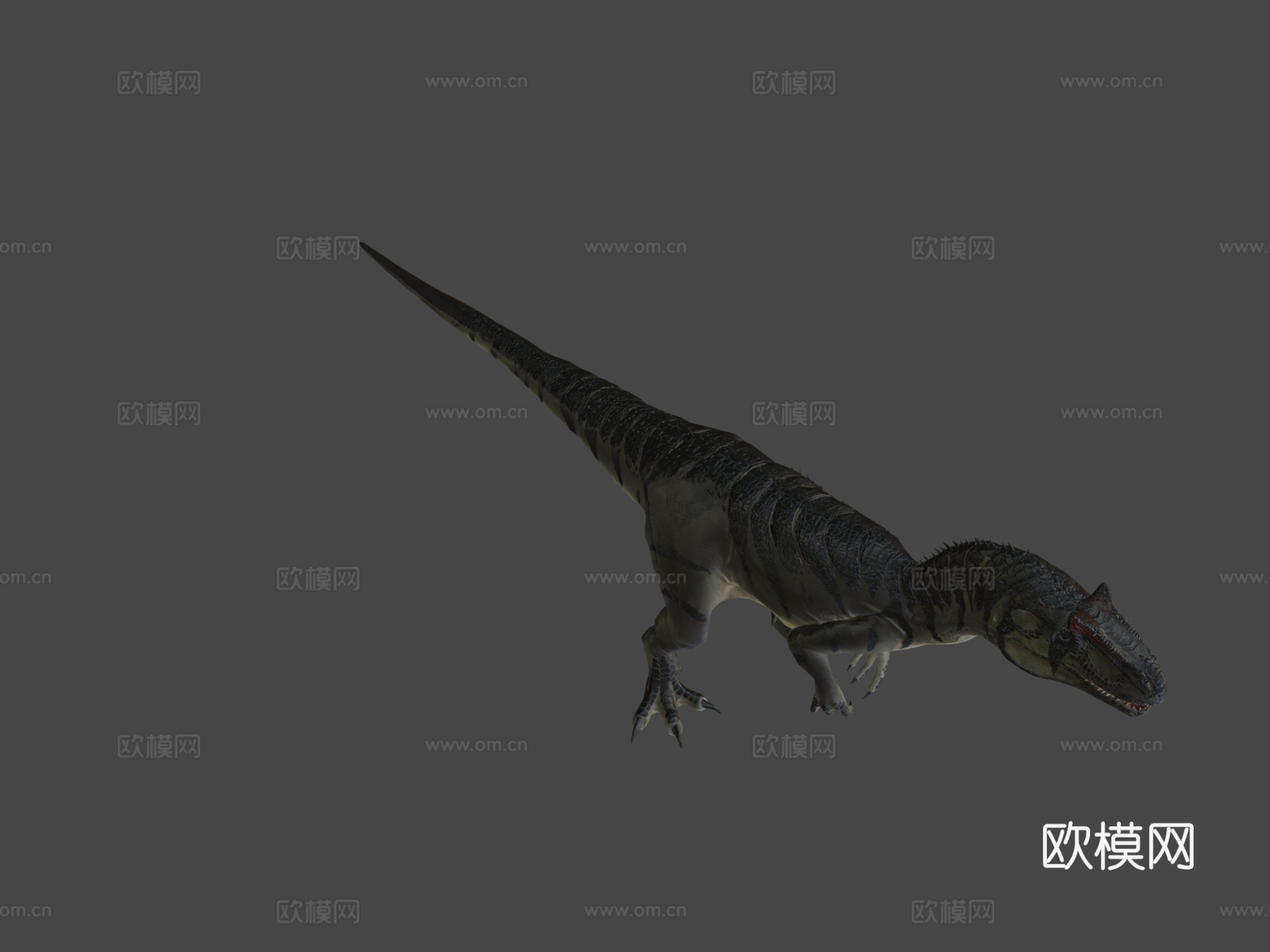 脆弱异特龙3d模型下载（渲染图8）