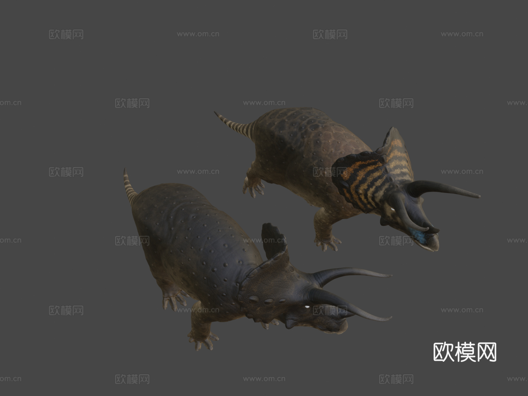 三角龙3d模型下载（渲染图8）