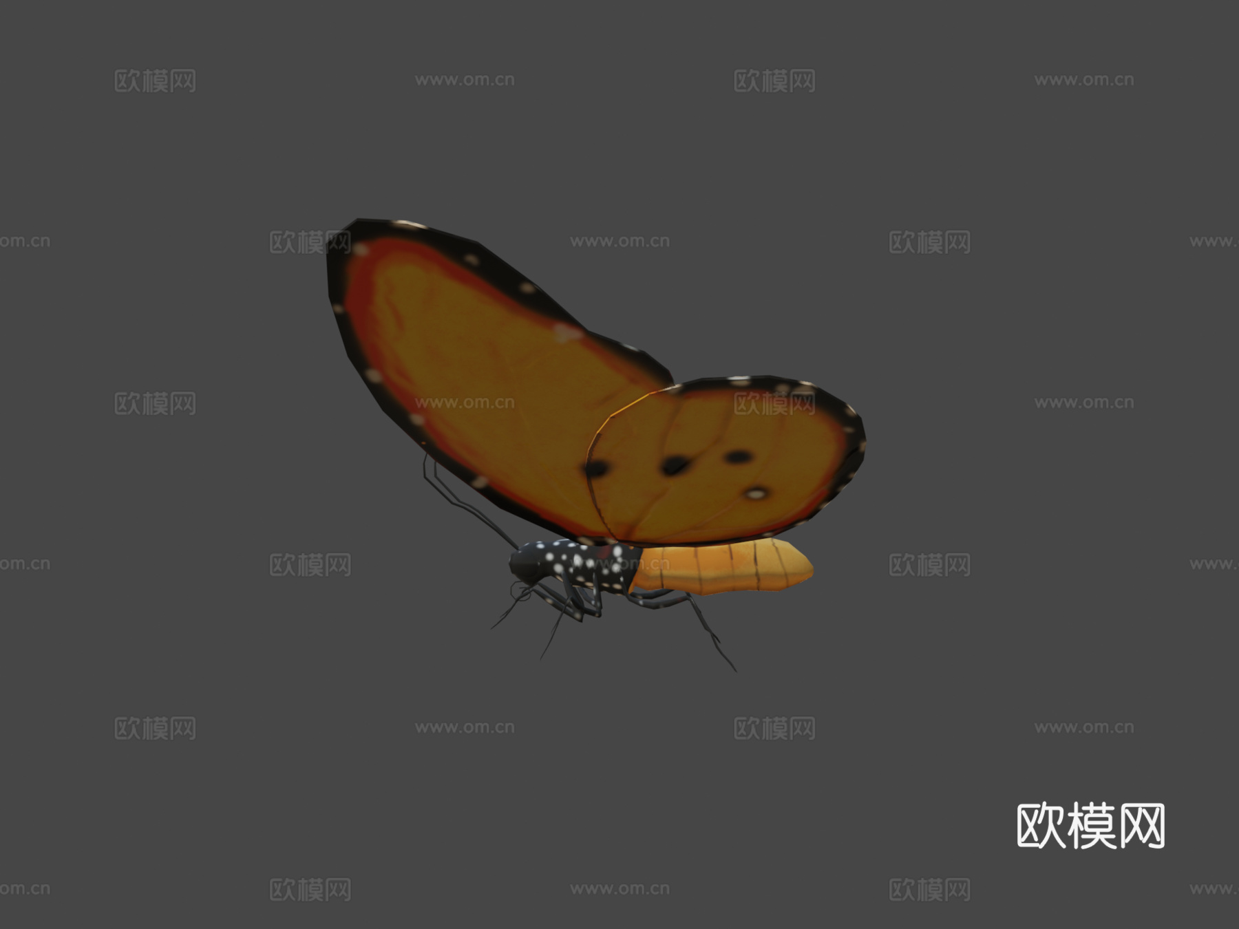 蝴蝶3d模型下载（渲染图6）