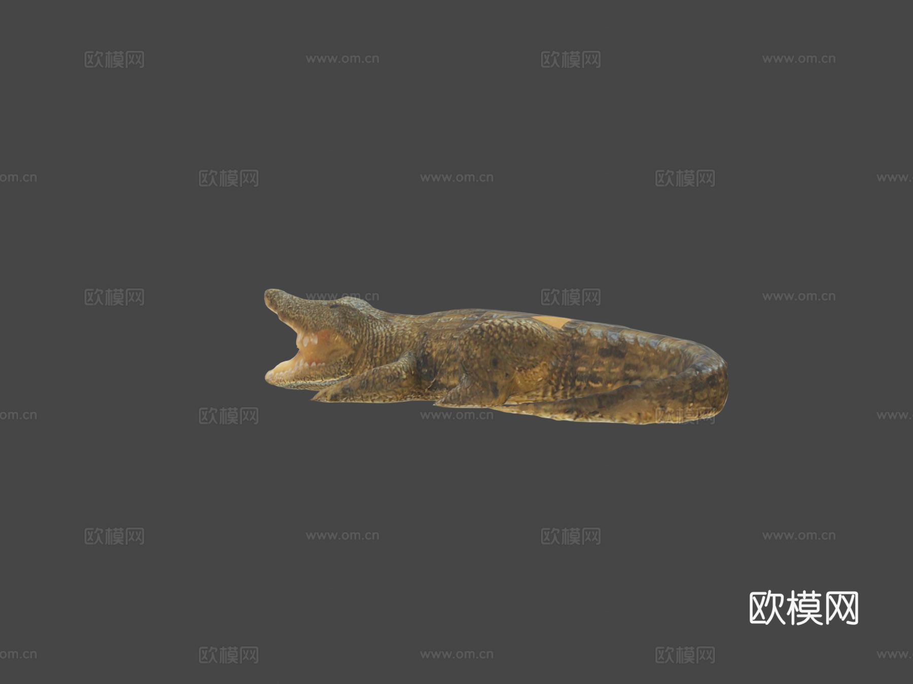 短吻鳄3d模型下载（渲染图6）