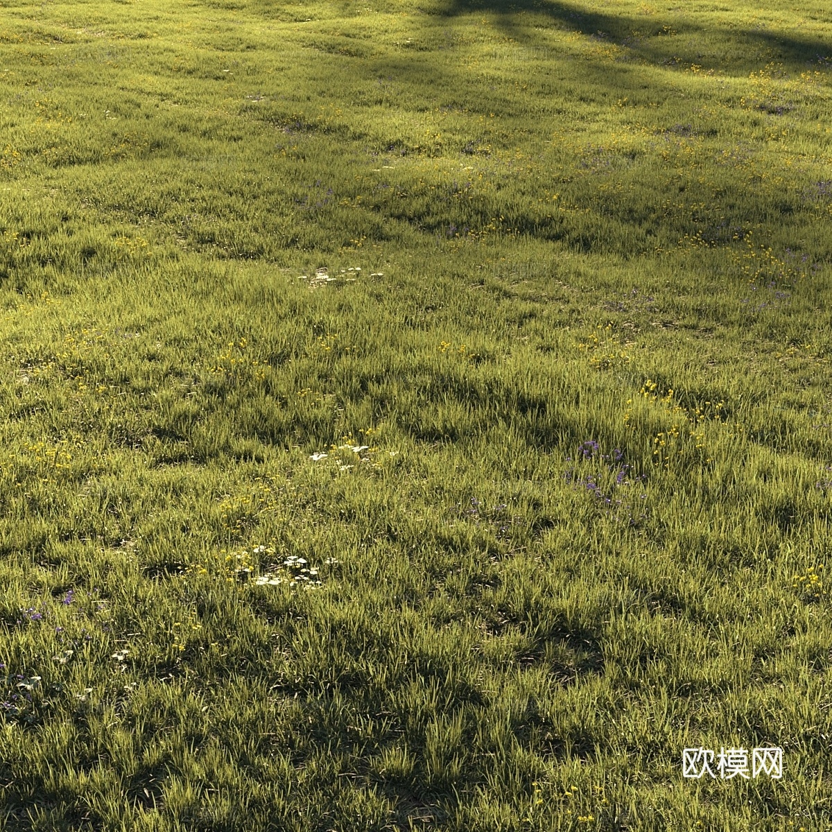 草与花3d模型下载