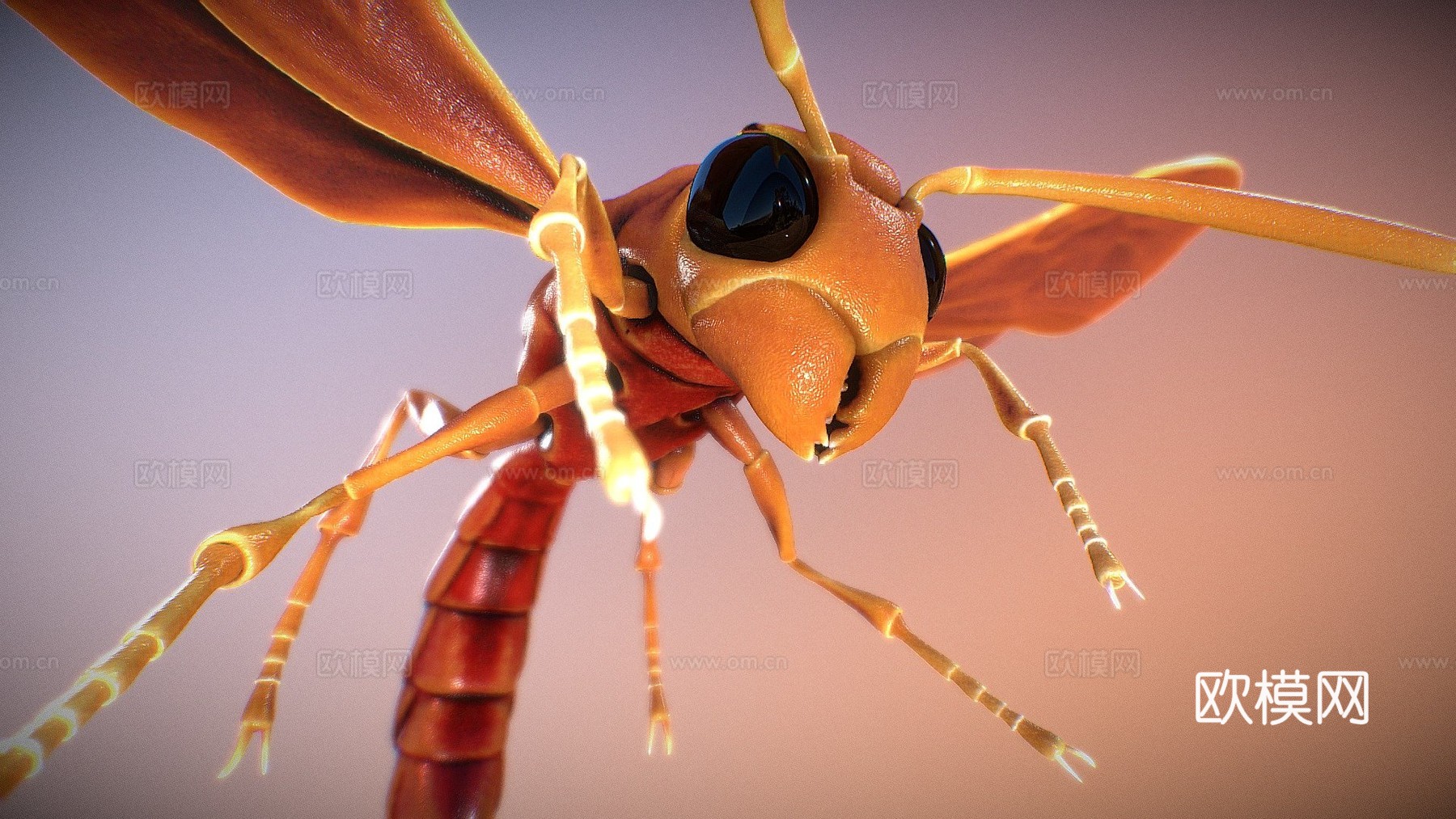昆虫3d模型下载（渲染图1）