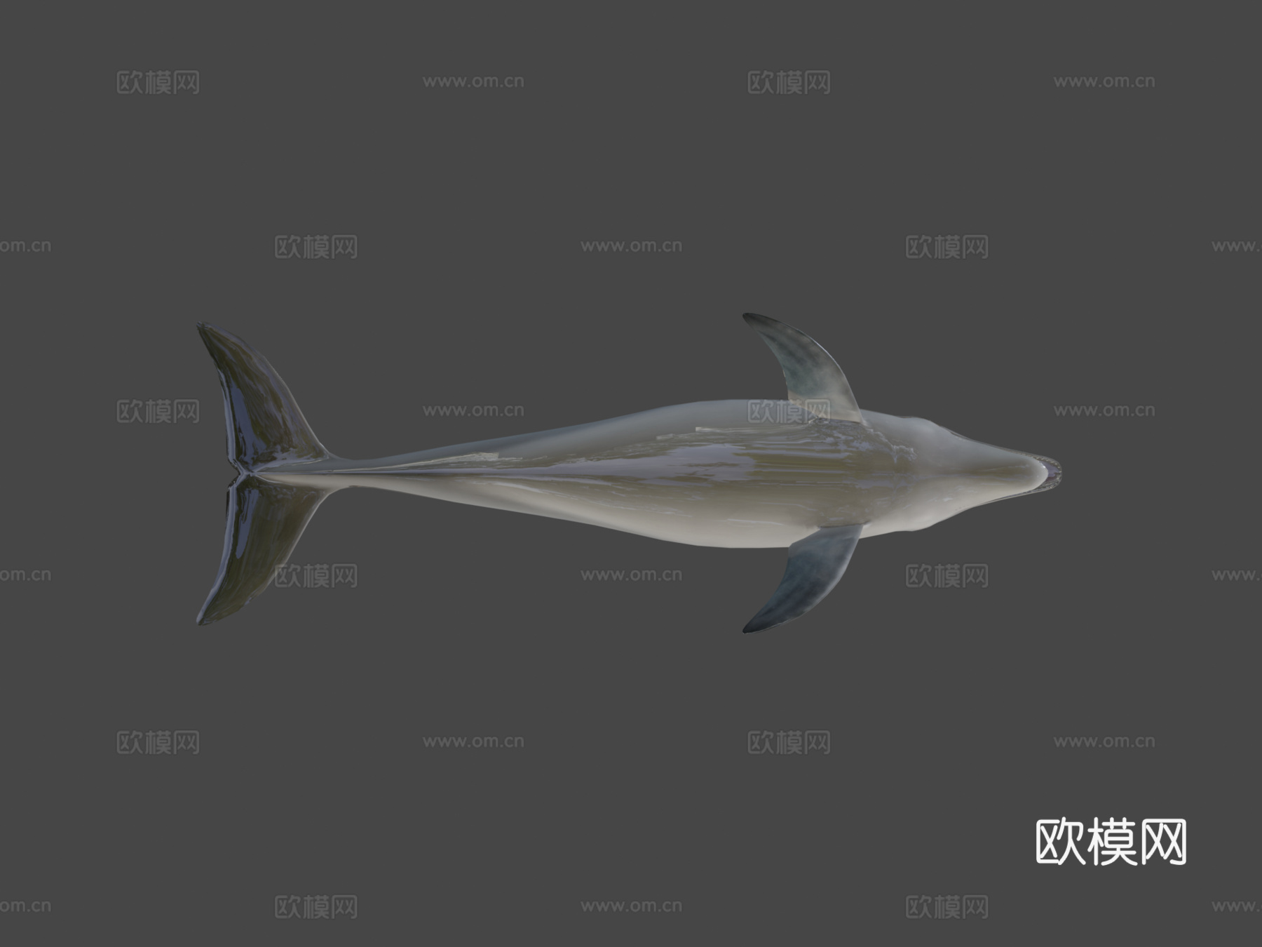 海豚3d模型下载（渲染图6）