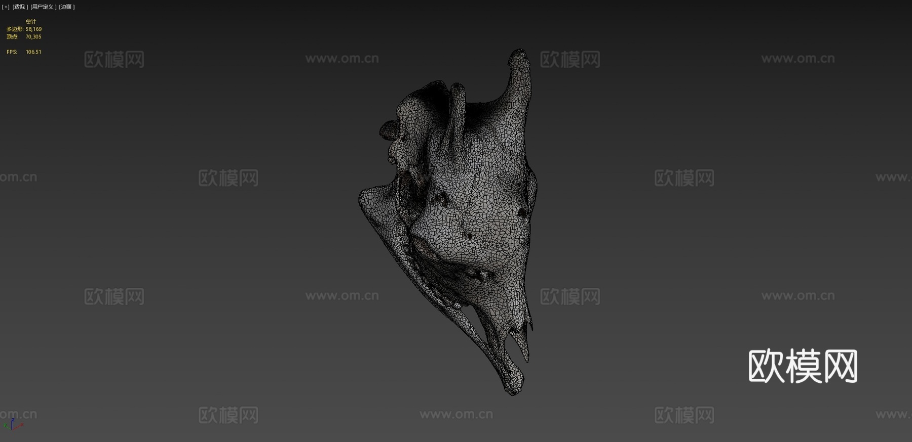 长颈鹿头骨3d模型下载（渲染图4）
