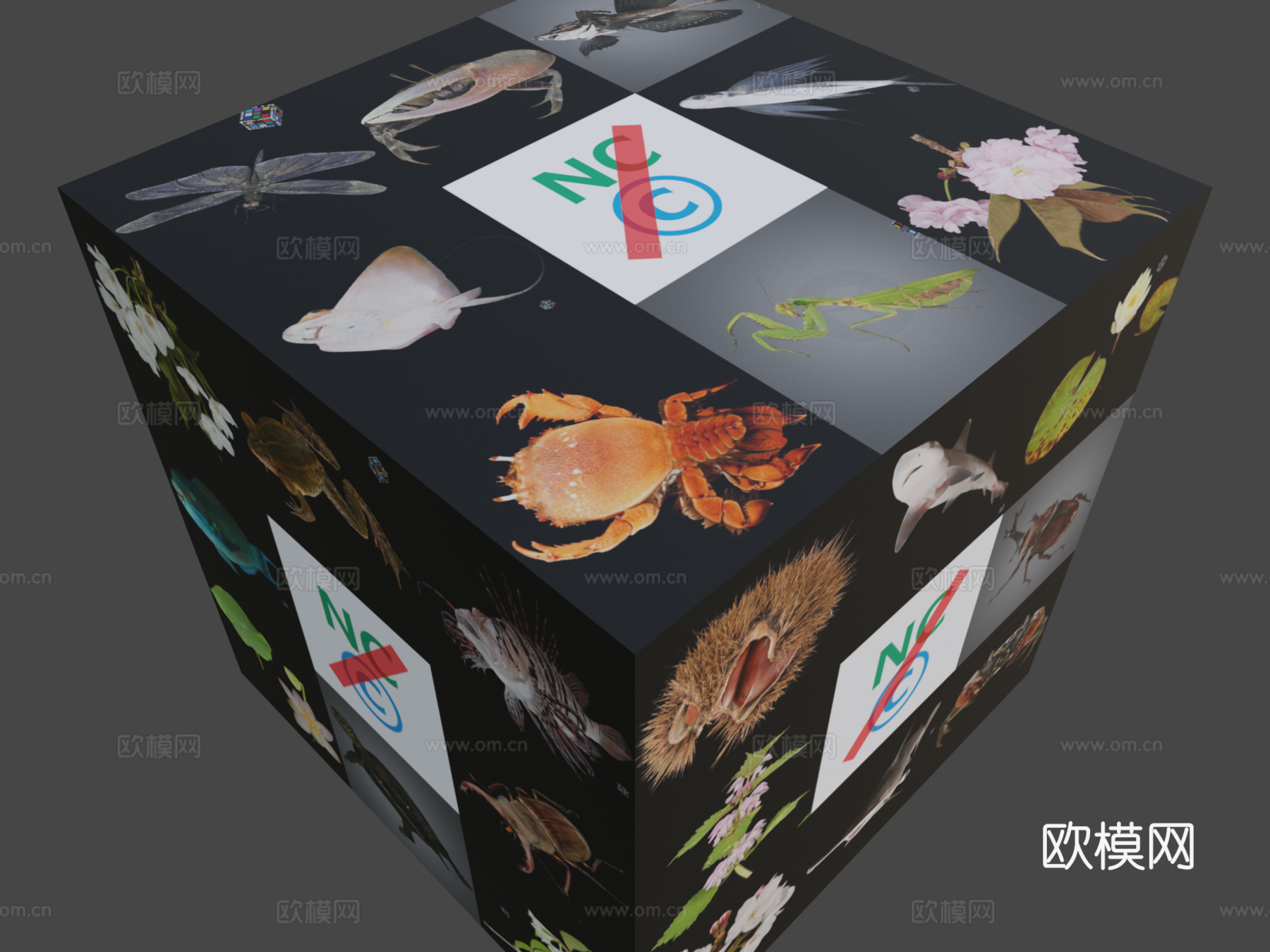 超出默认许可的3D模型使用3d模型下载（渲染图8）