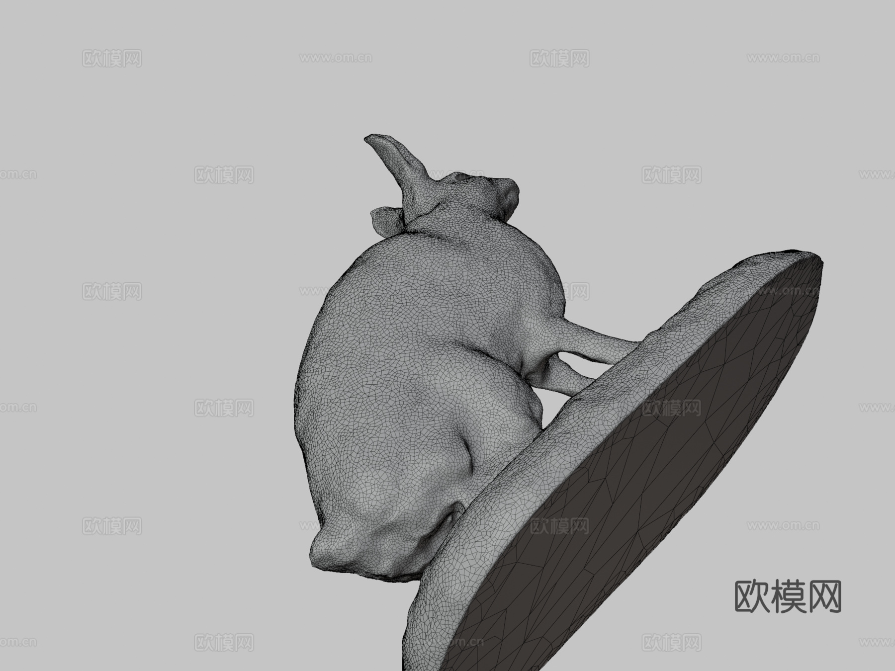 NSMT-M_32036雪鞋野兔（标本）3d模型下载（渲染图3）