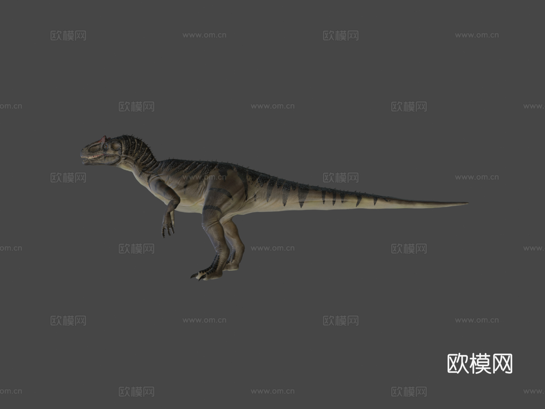 脆弱异特龙3d模型下载（渲染图7）