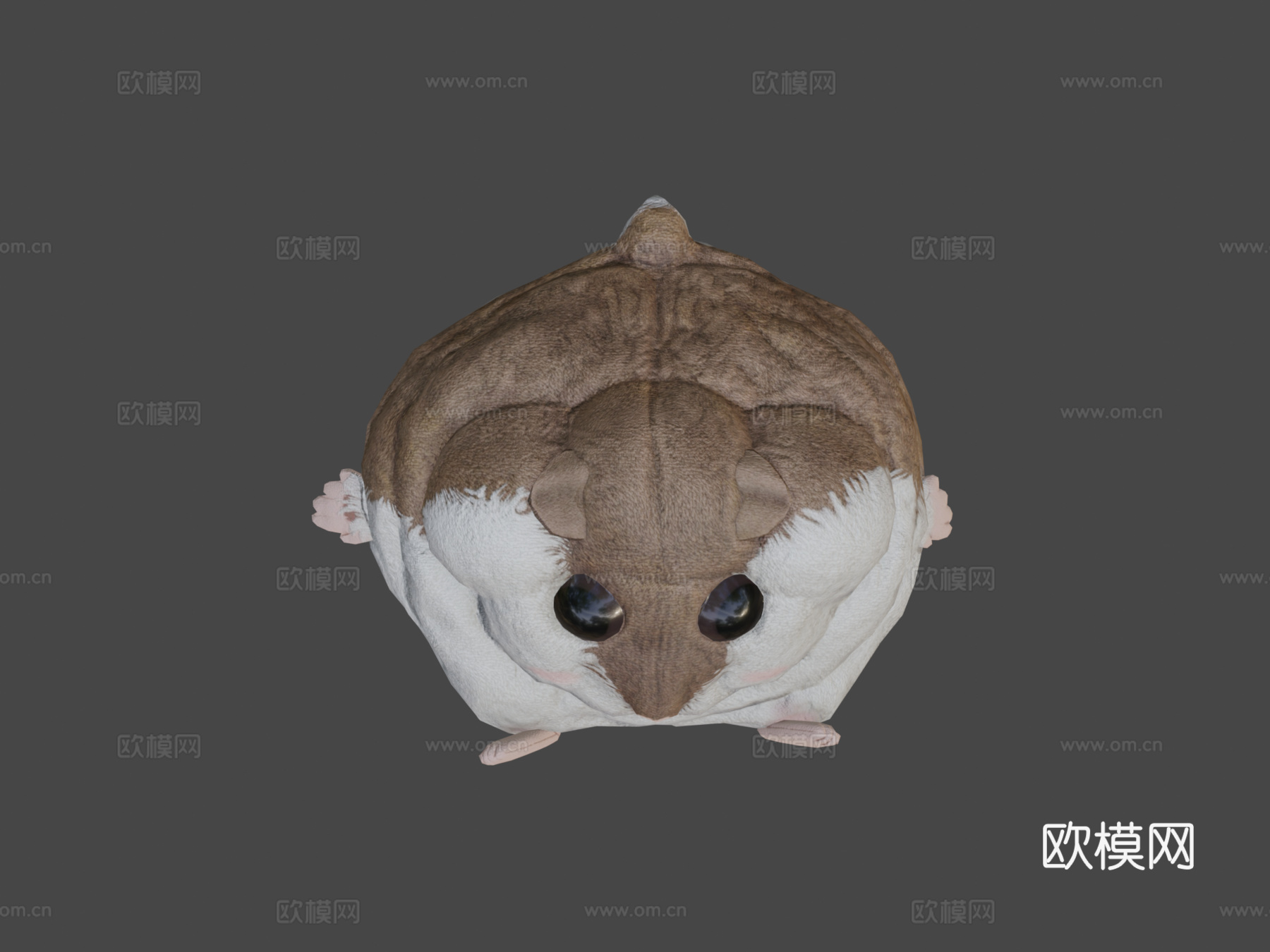 压扁的仓鼠玩偶奎奇3d模型